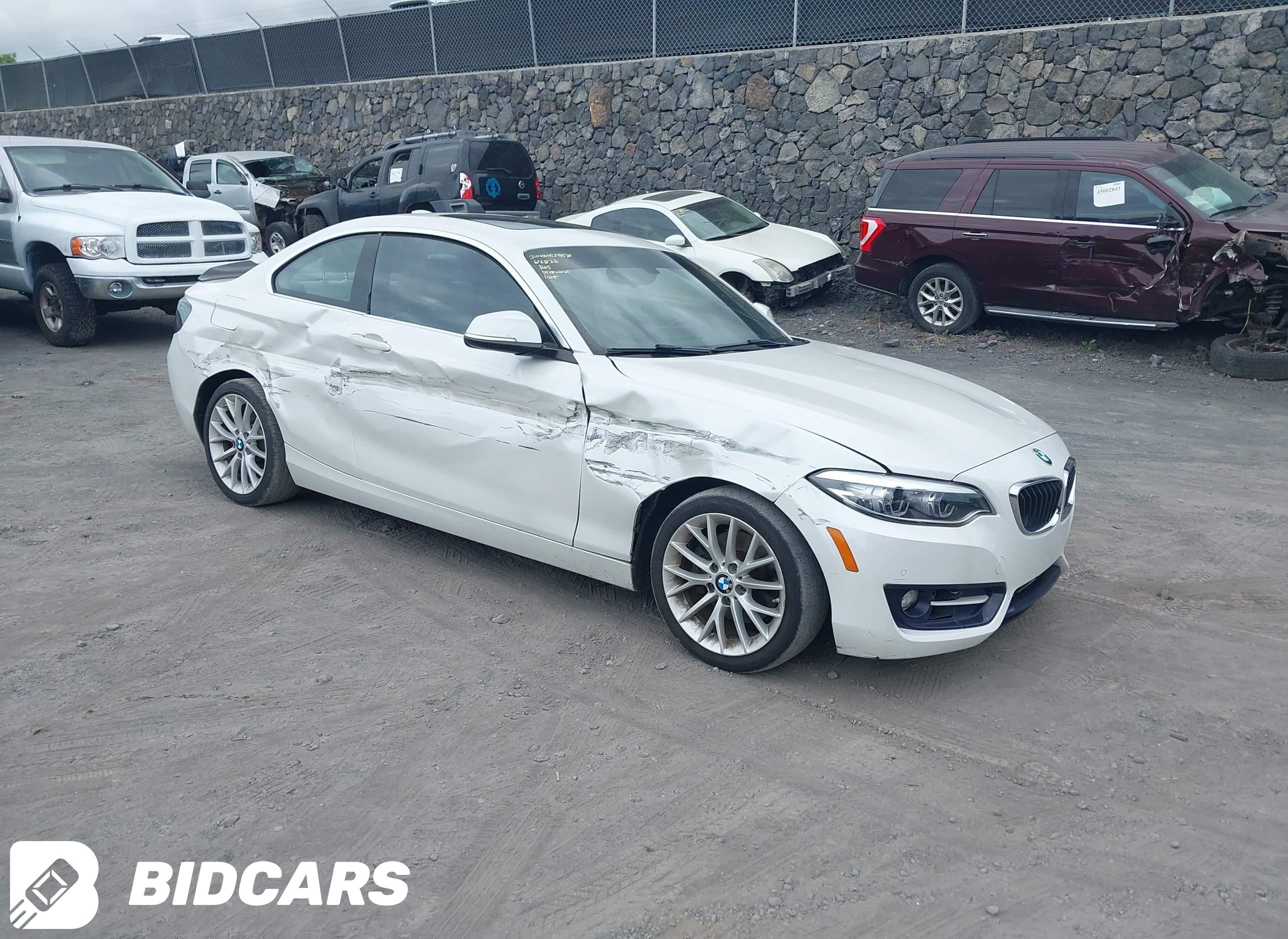 2016 BMW 2 Series, 228I