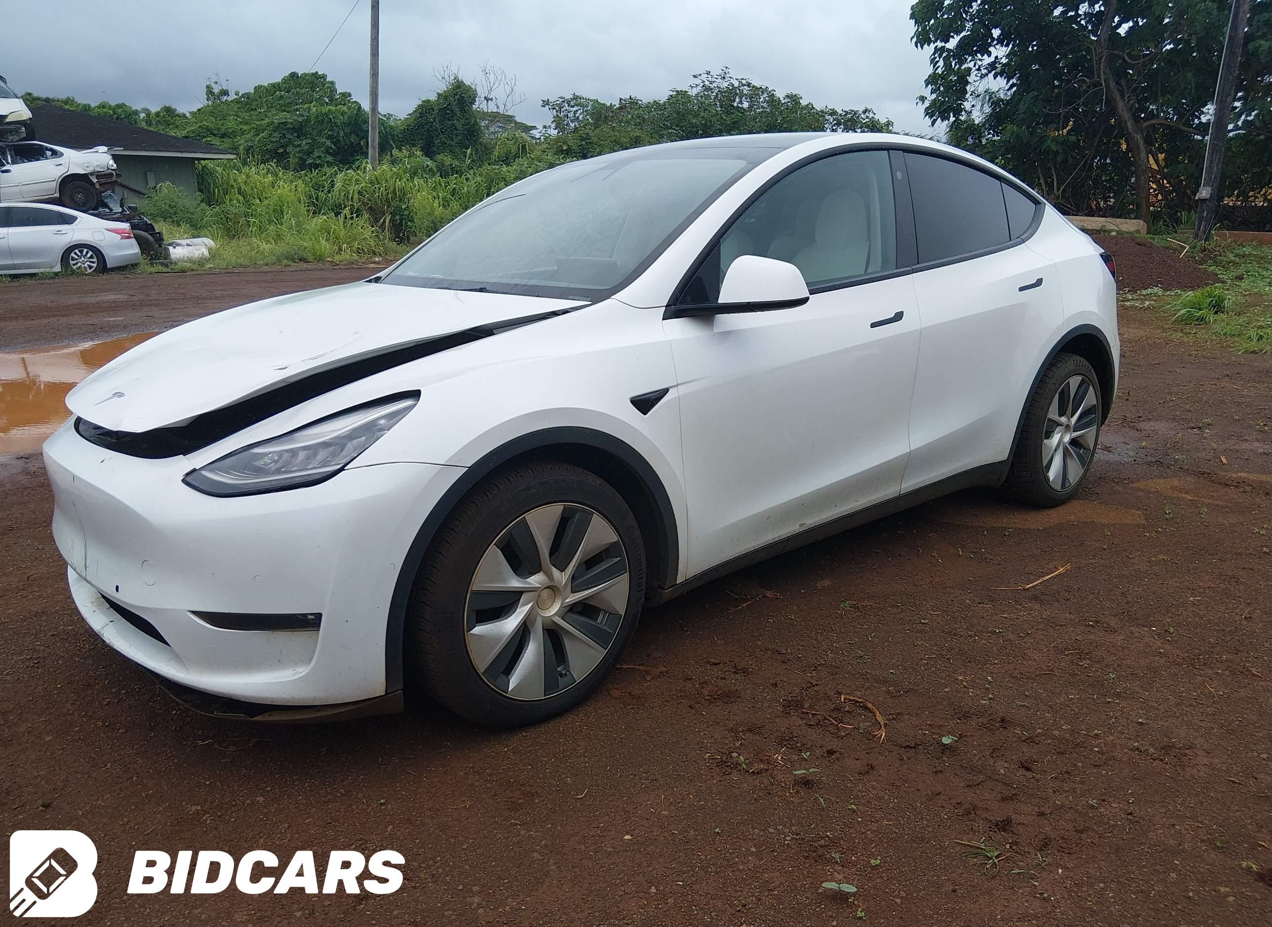 2021 Tesla Model Y, Long Rang...