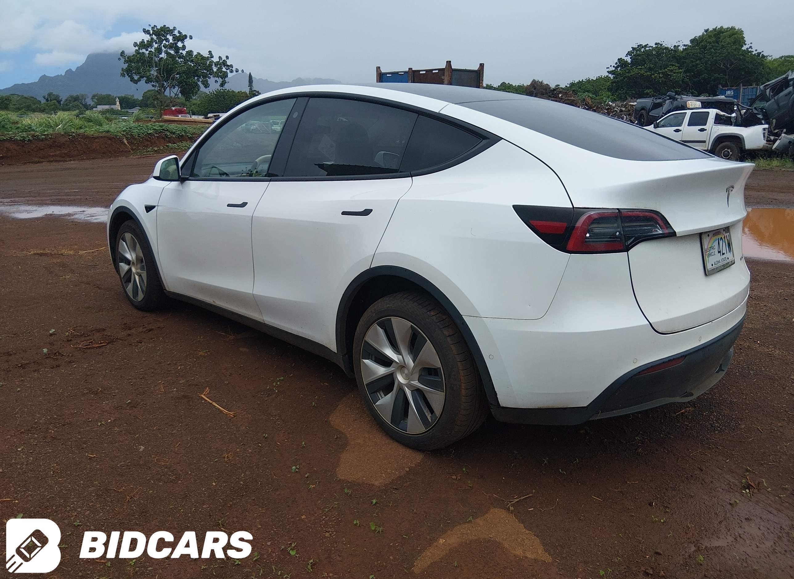 2021 Tesla Model Y, Long Rang...