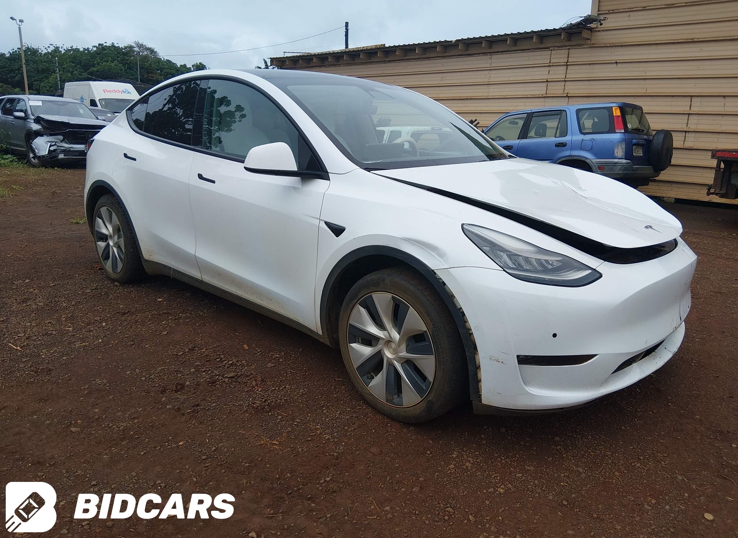 2021 Tesla Model Y, Long Rang...