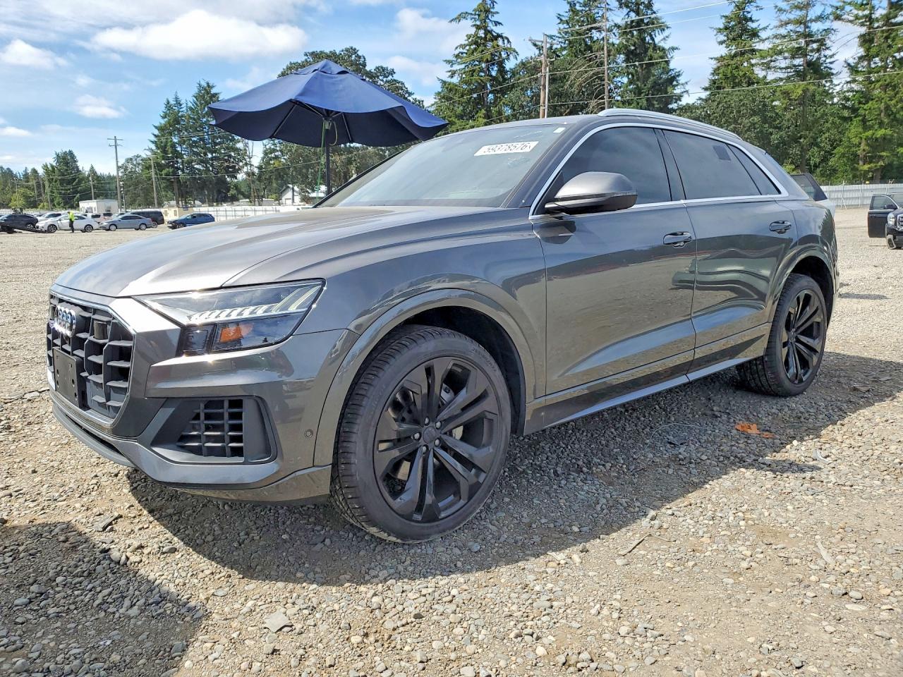 2019 Audi Q8, Prestige