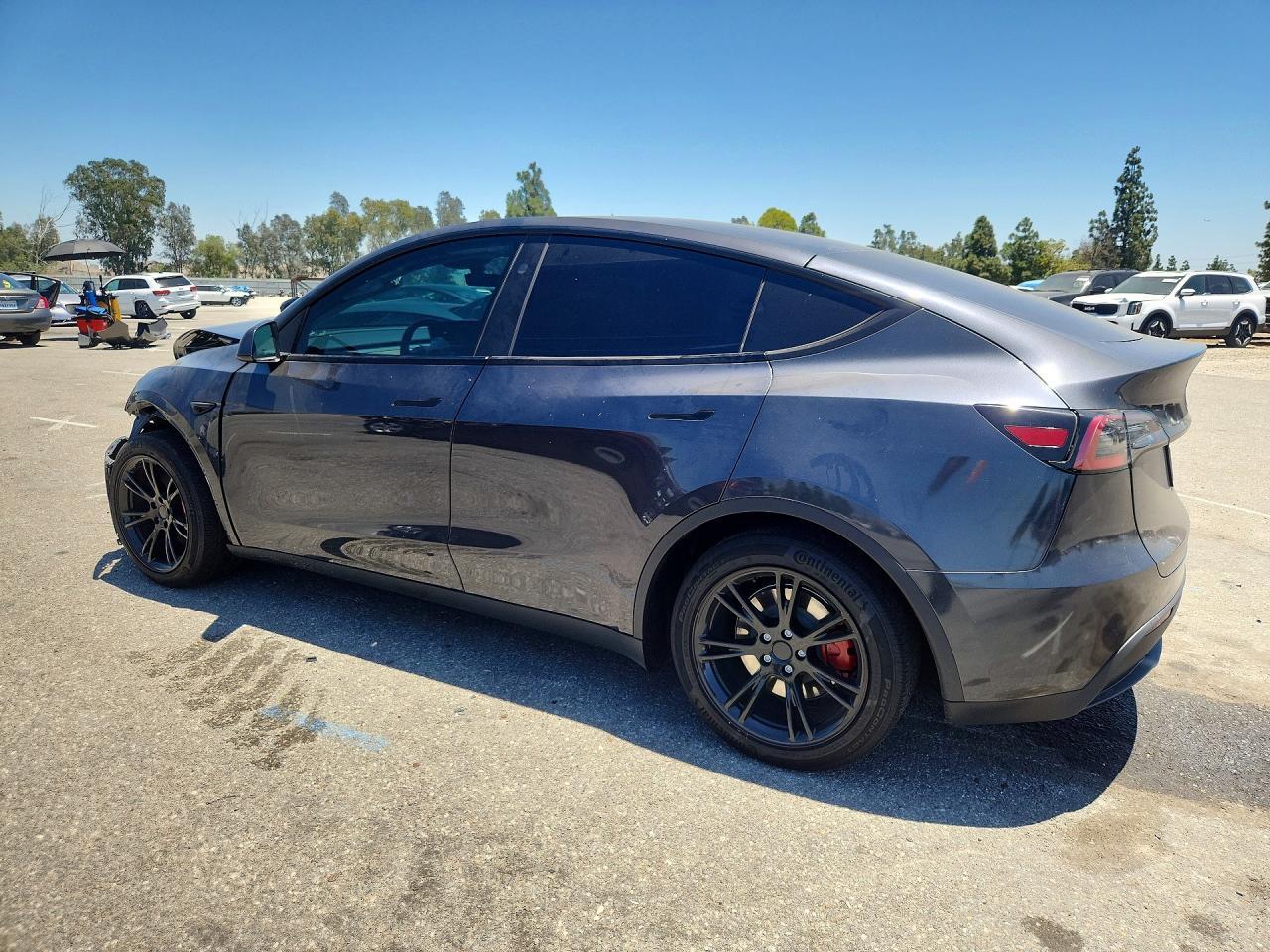 2025 Tesla MODEL Y