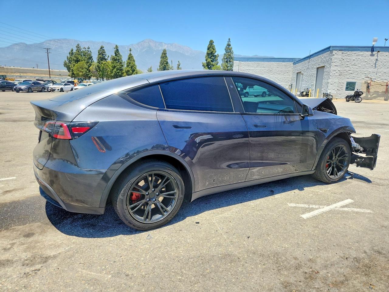 2025 Tesla MODEL Y