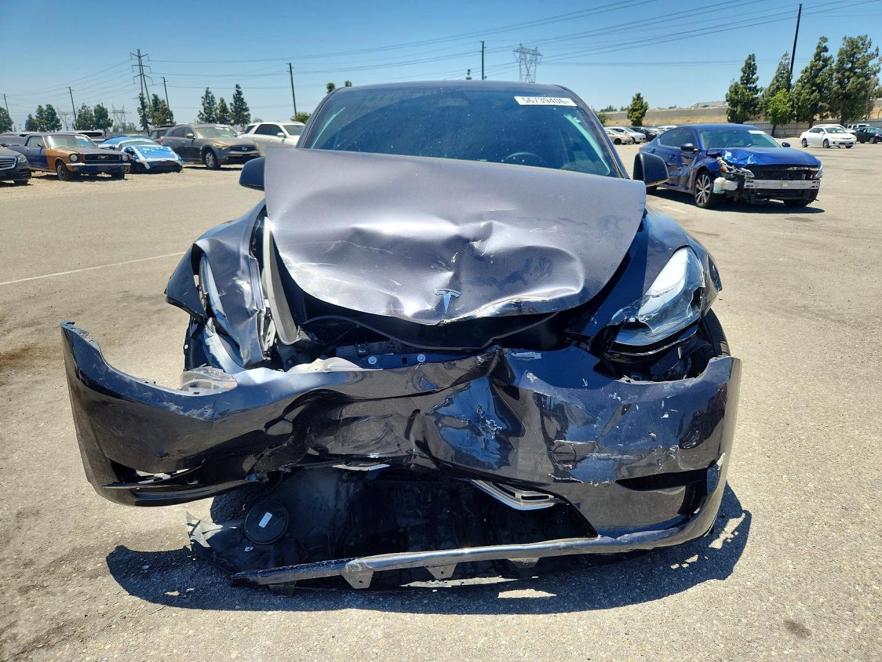 2025 Tesla MODEL Y