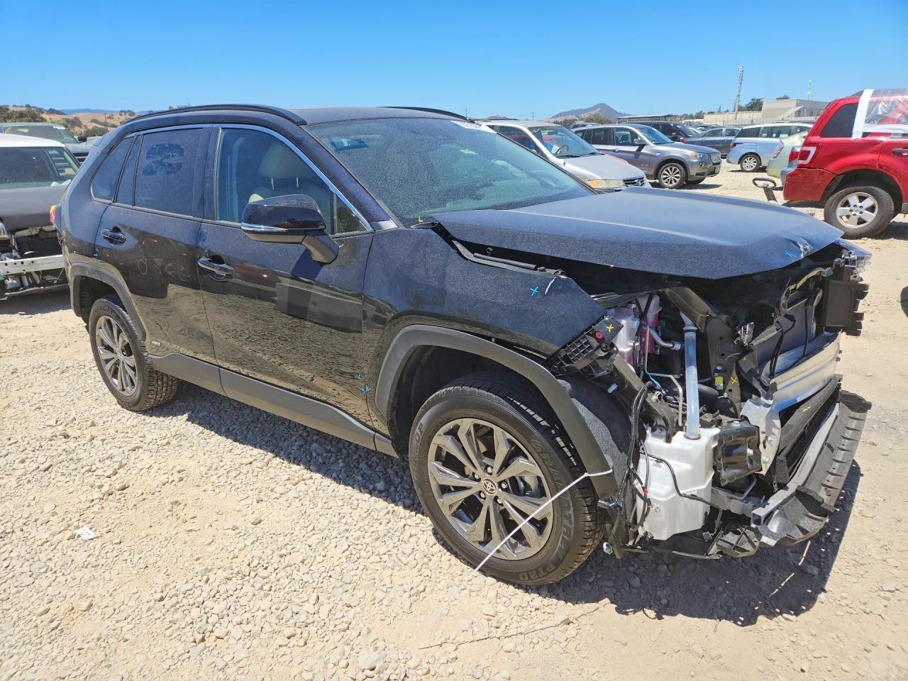2025 Toyota RAV4, Xle Premium