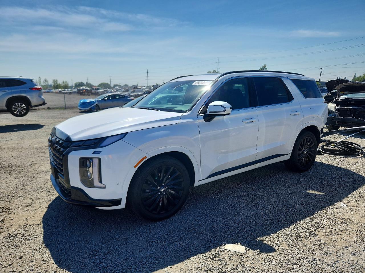 2025 Hyundai Palisade, Callig...