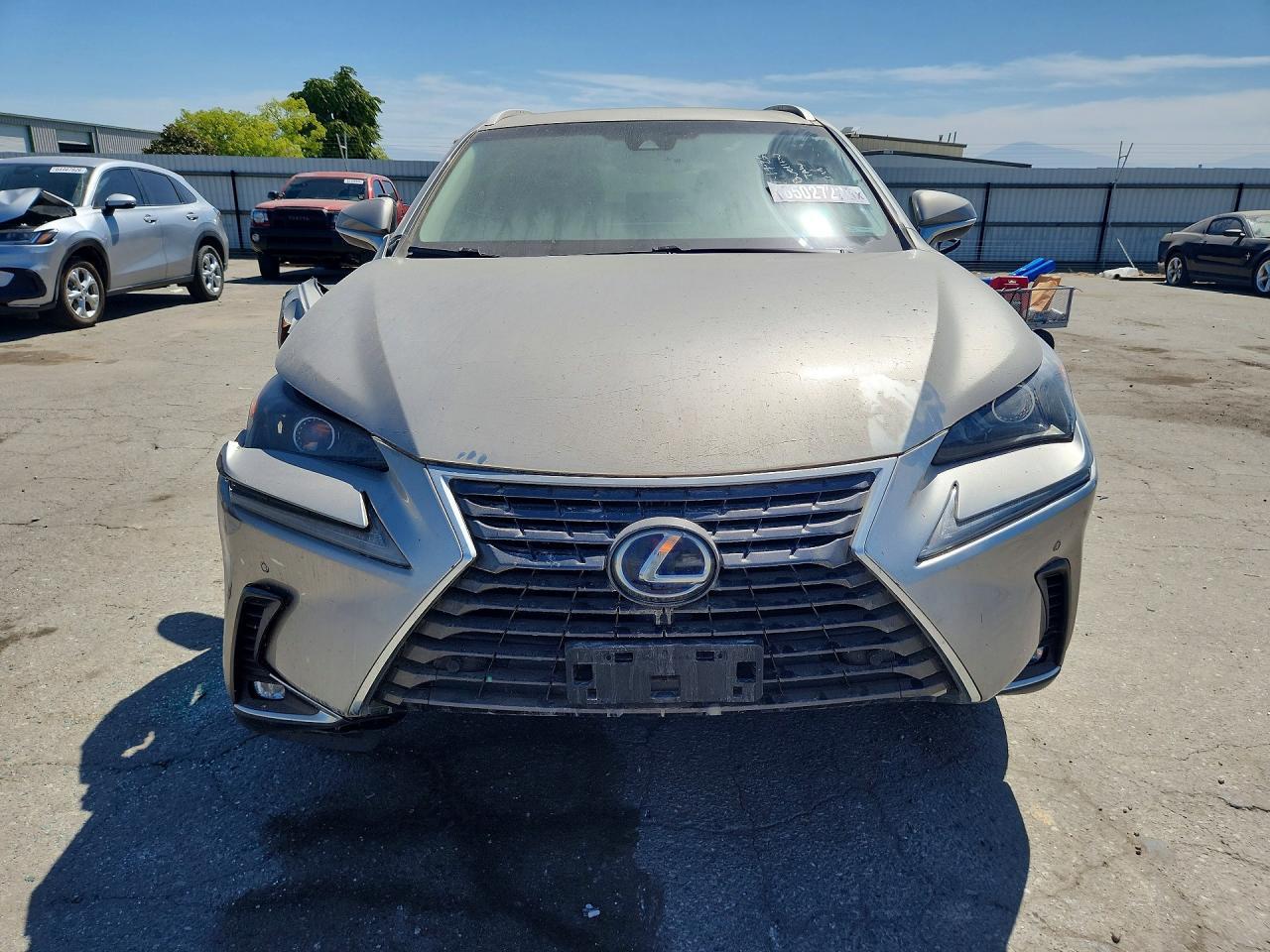 2019 Lexus NX, 300H