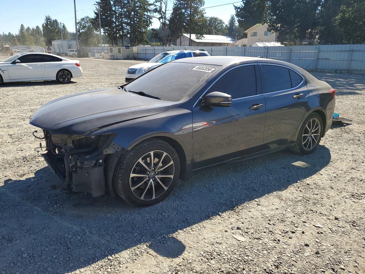 2015 Acura TLX, Advance
