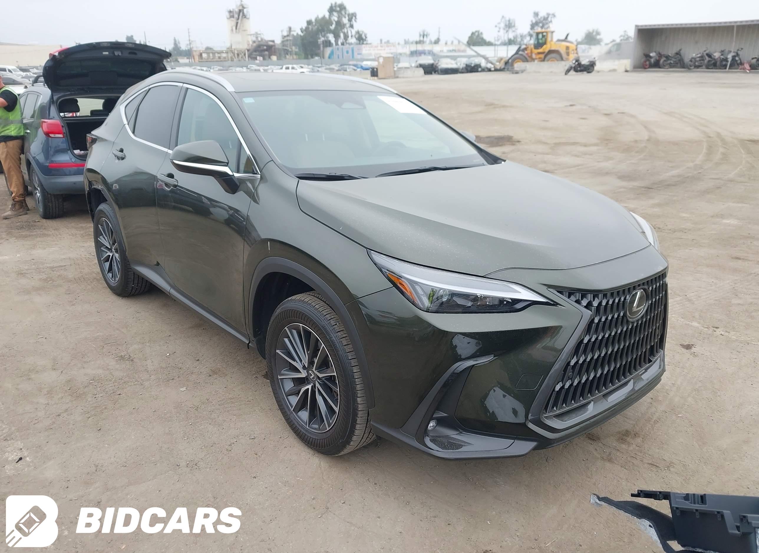 2025 Lexus NX 250