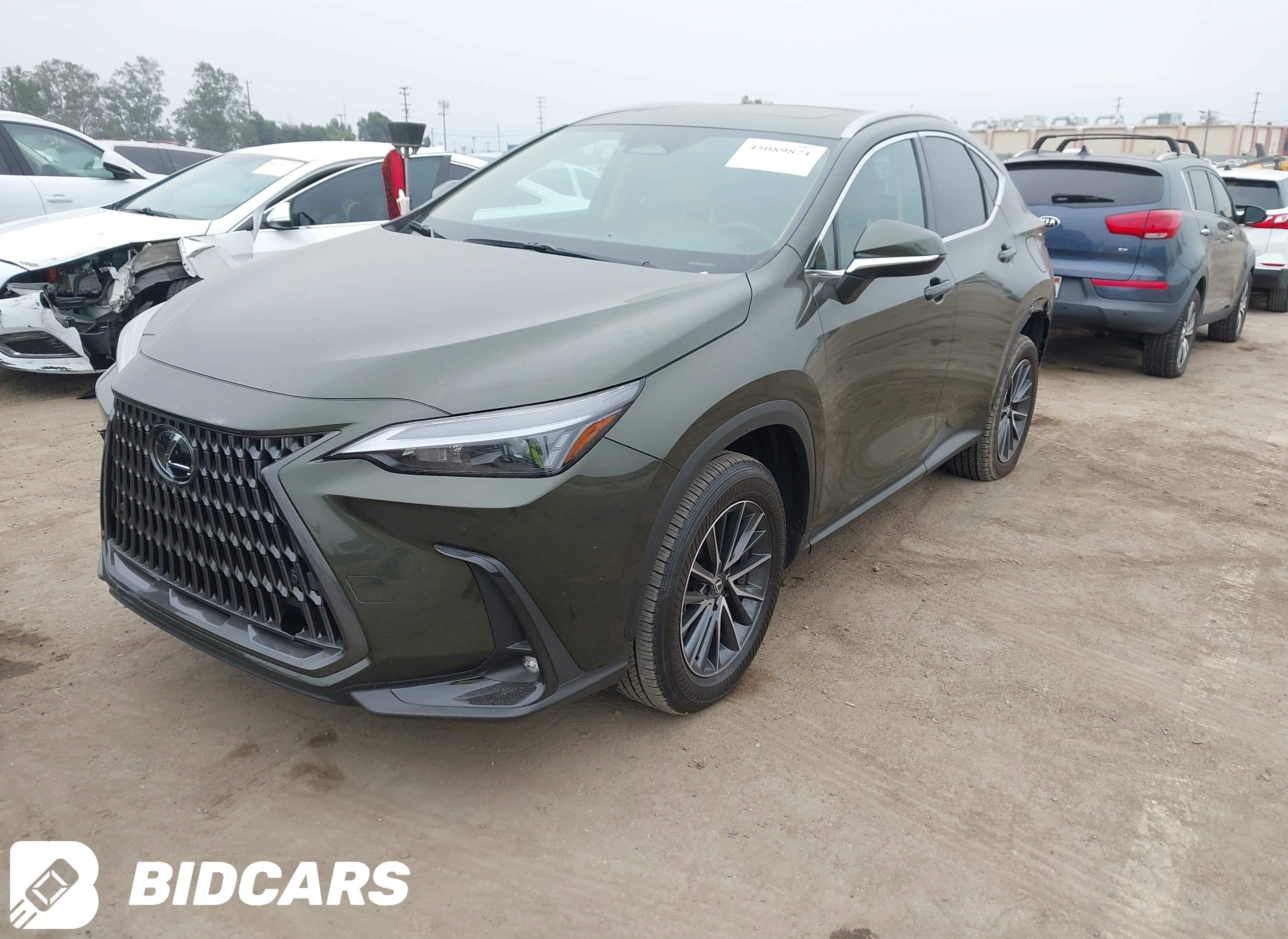 2025 Lexus NX 250