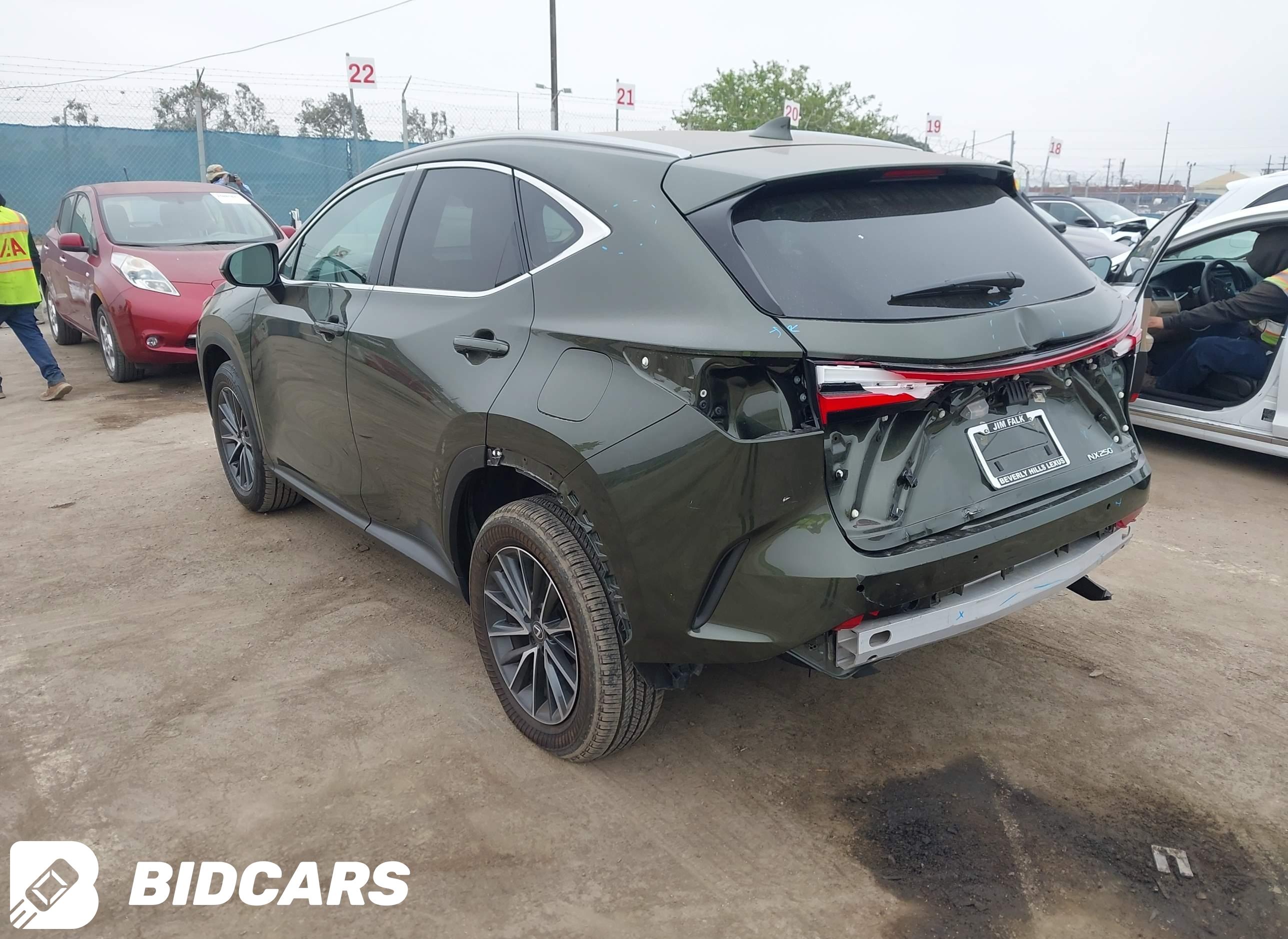 2025 Lexus NX 250