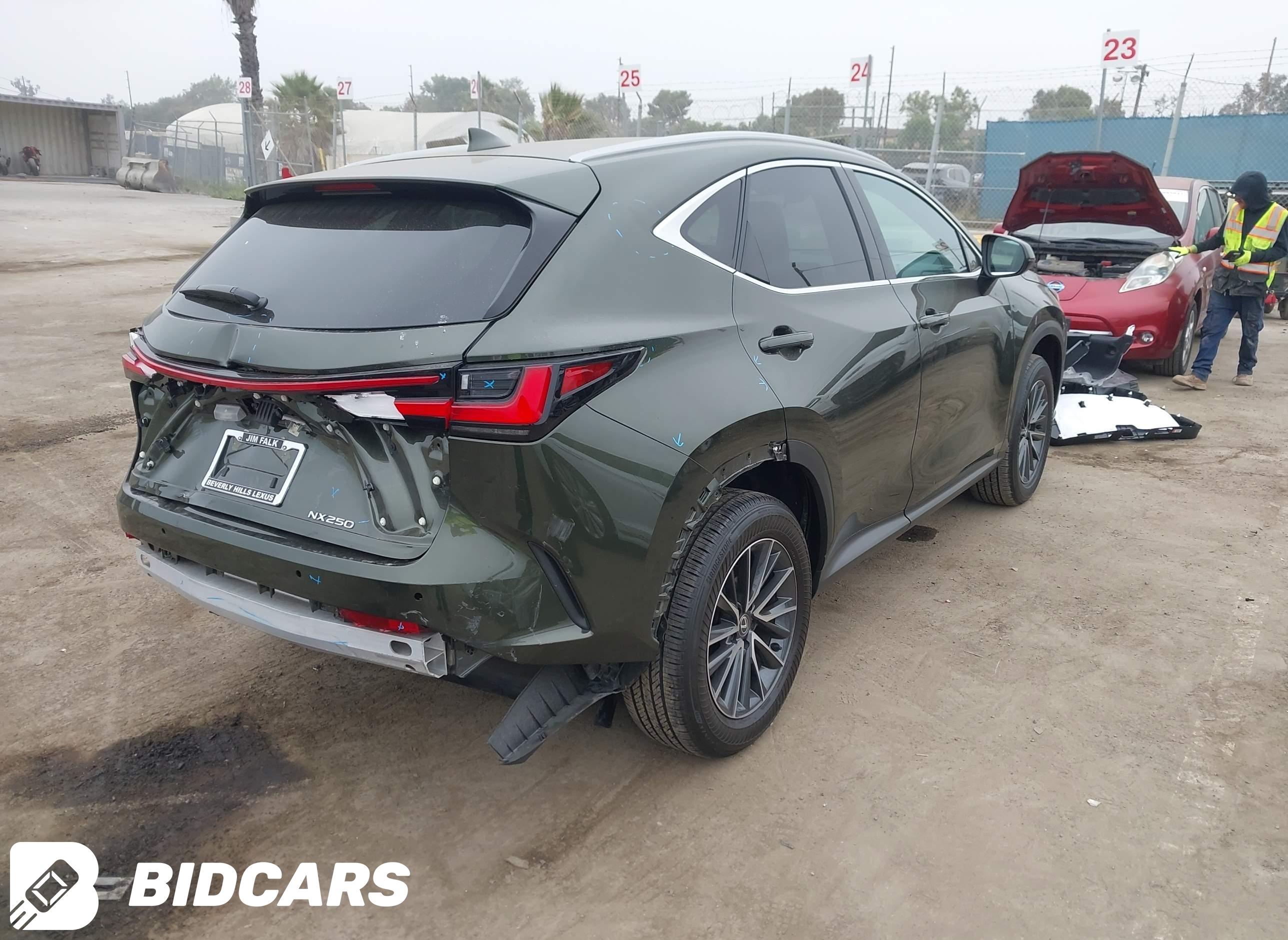 2025 Lexus NX 250