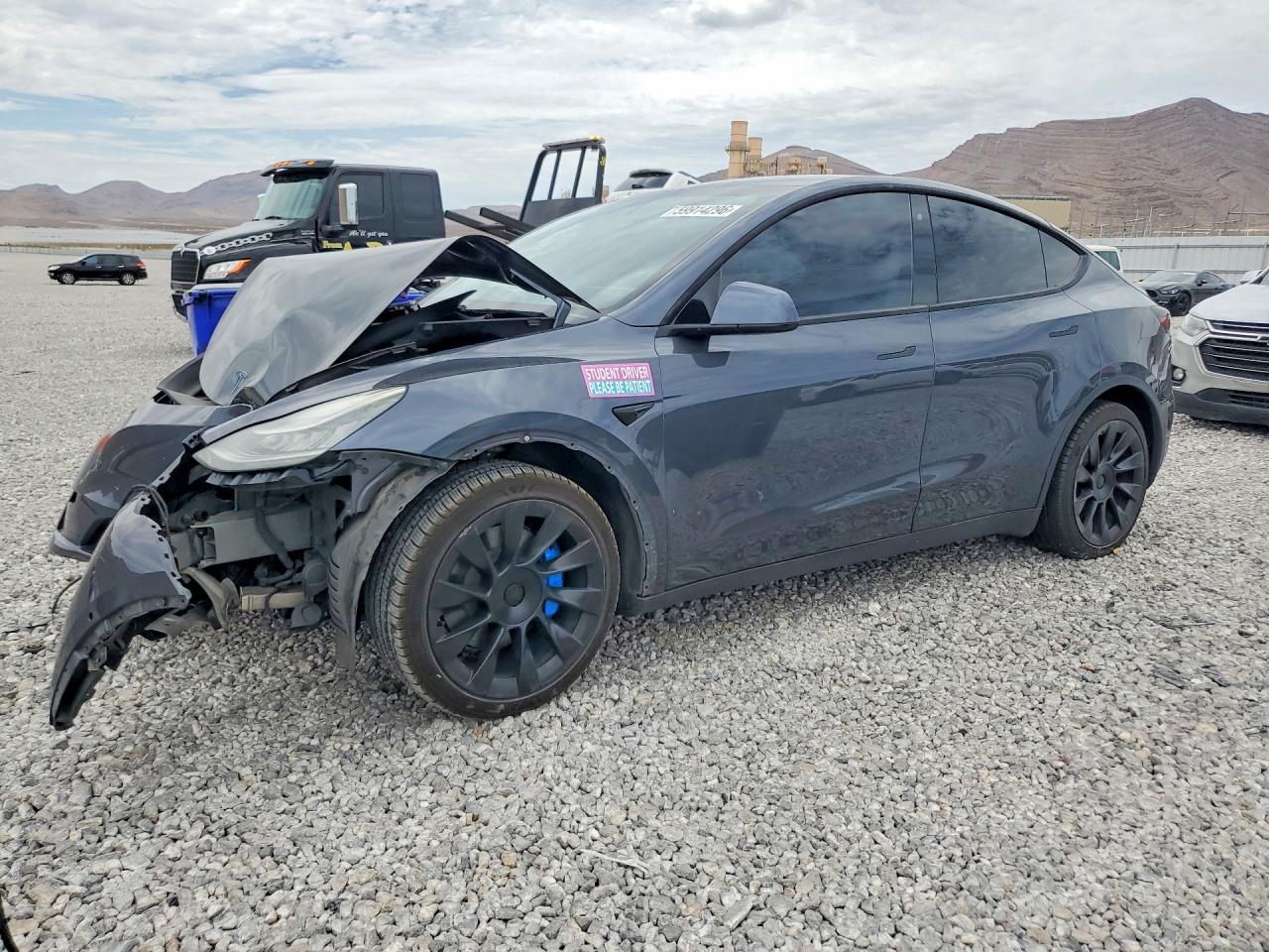 2020 Tesla MODEL Y