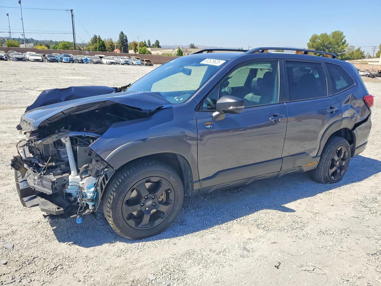 2023 Subaru Forester, Wilderness