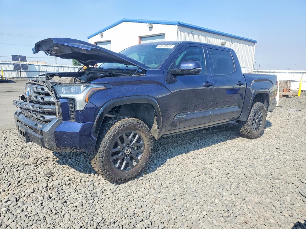 2024 Toyota Tundra, Platinum Hv
