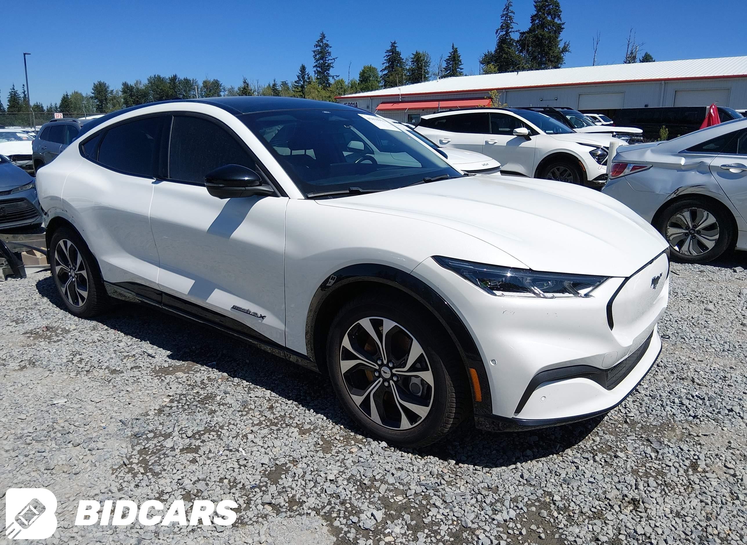 2021 Ford Mustang Mach-E, Pre...