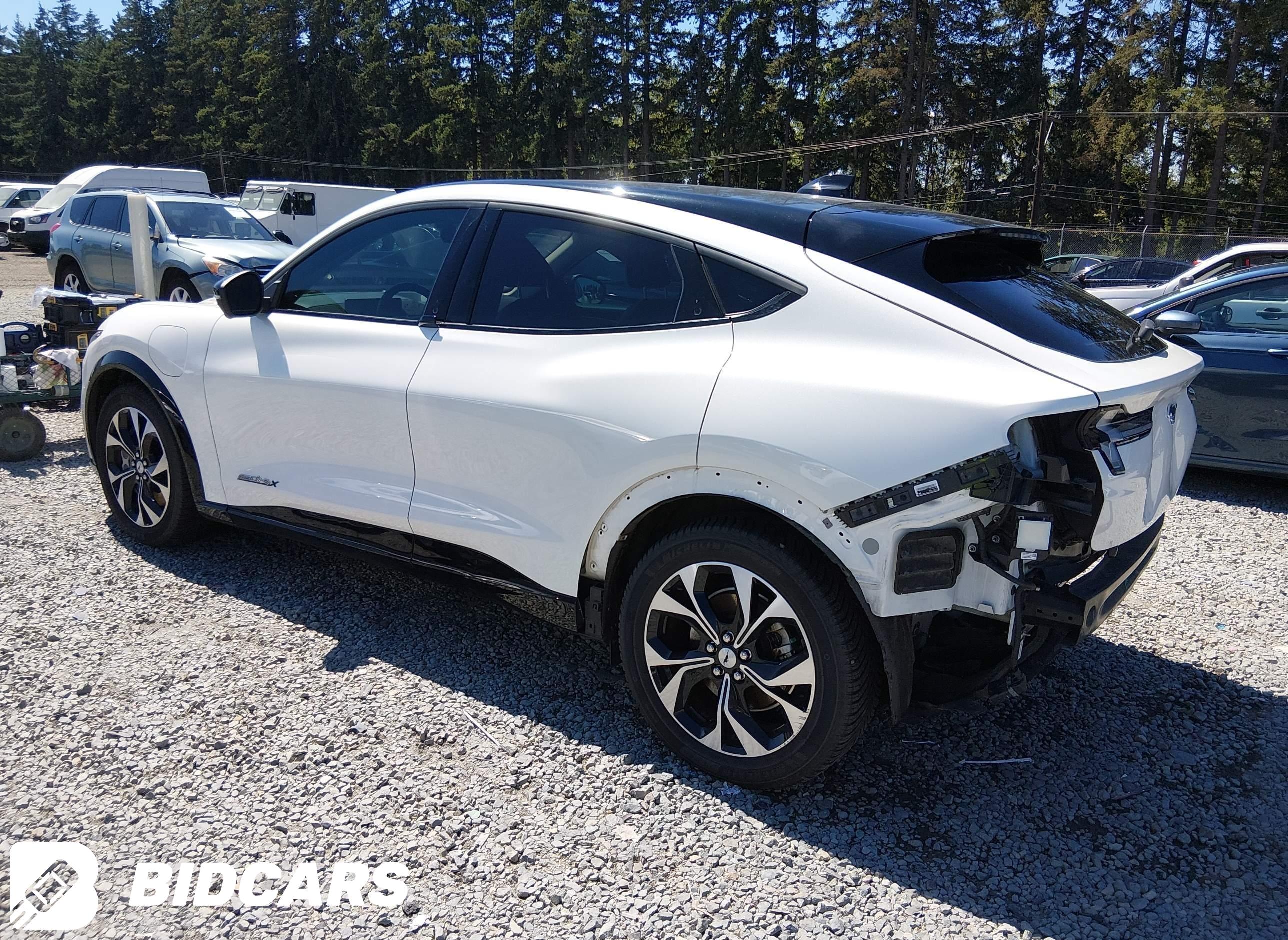 2021 Ford Mustang Mach-E, Pre...