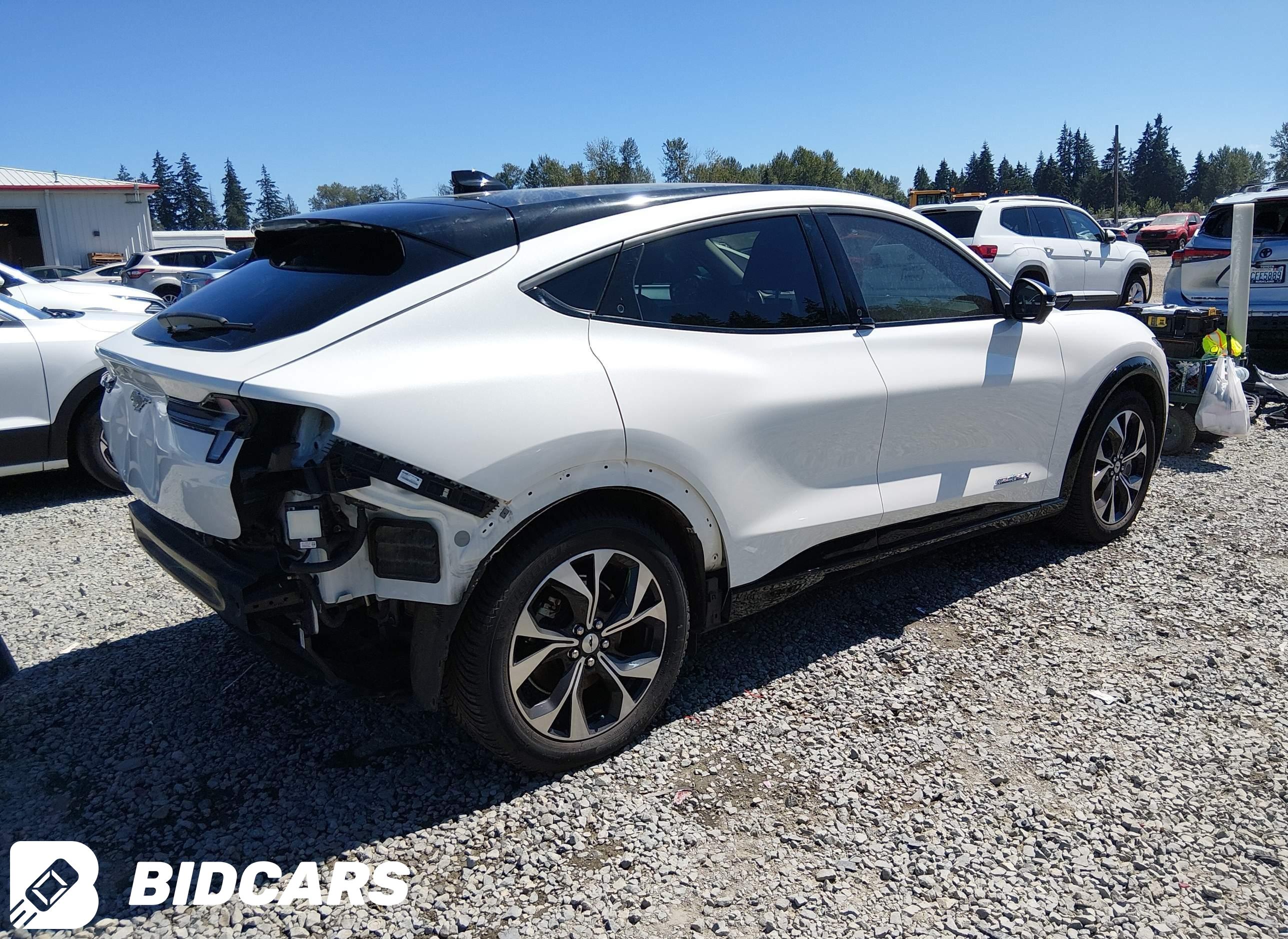 2021 Ford Mustang Mach-E, Pre...
