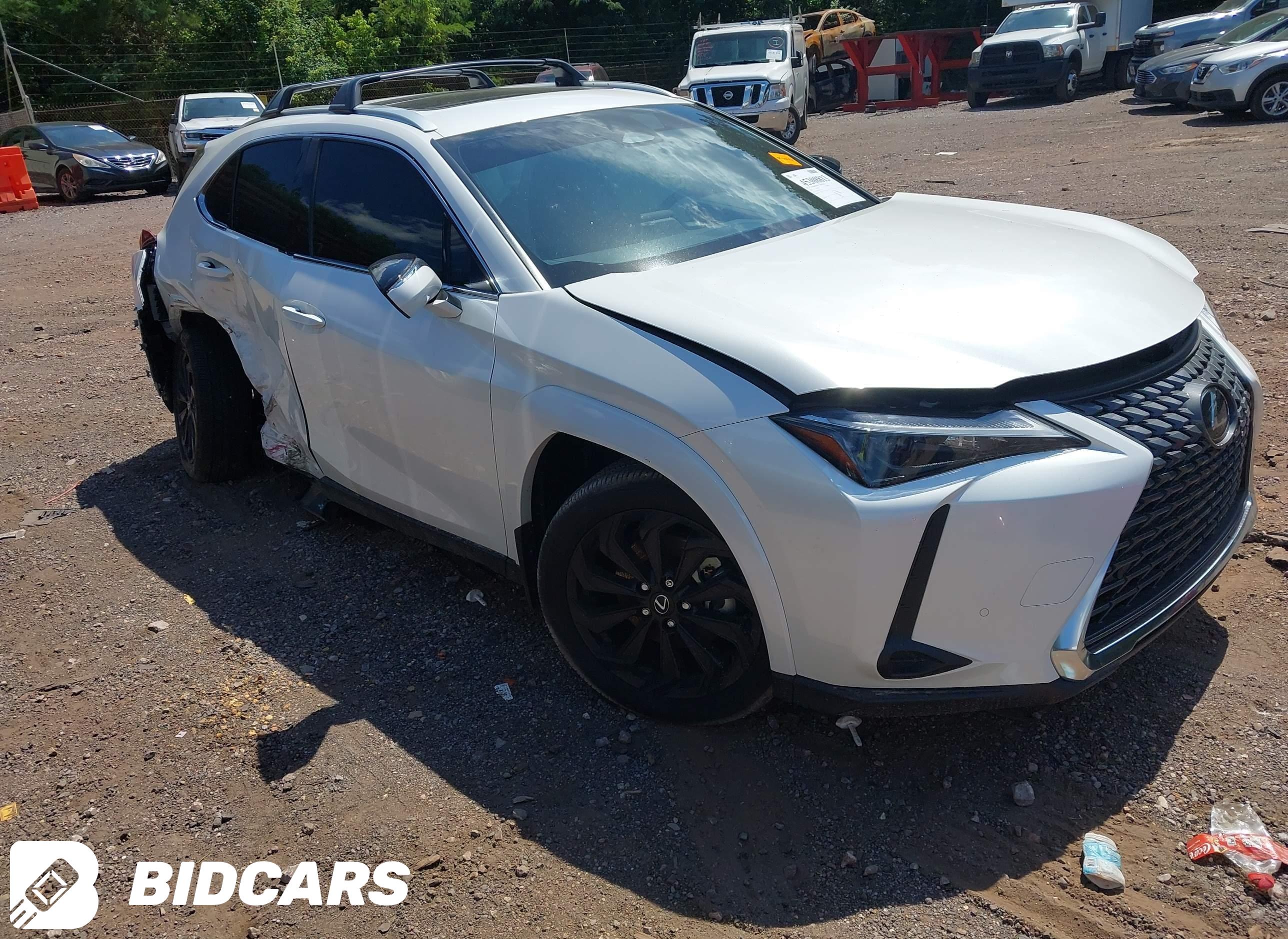 2025 Lexus UX 300H, Premium