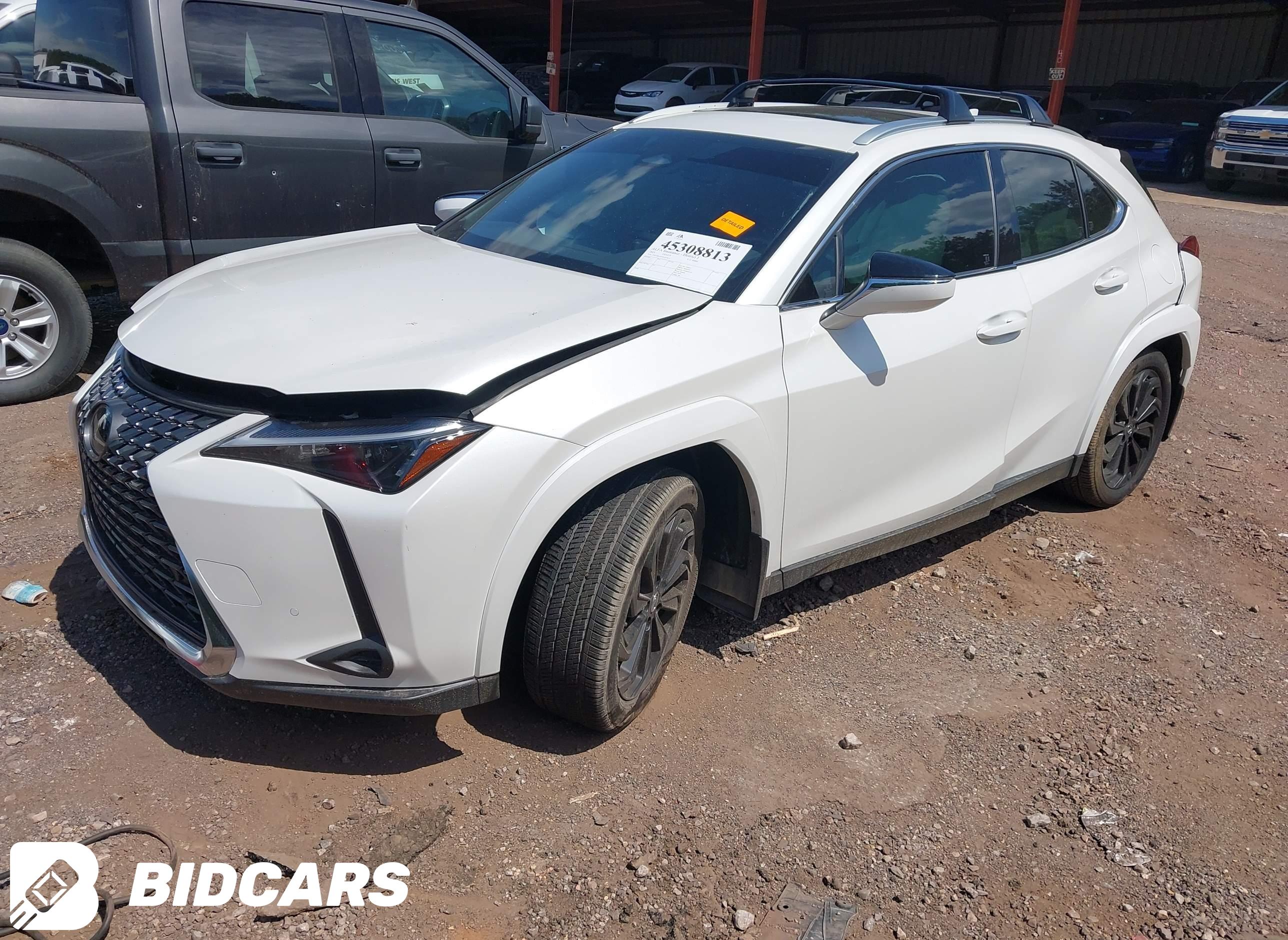 2025 Lexus UX 300H, Premium