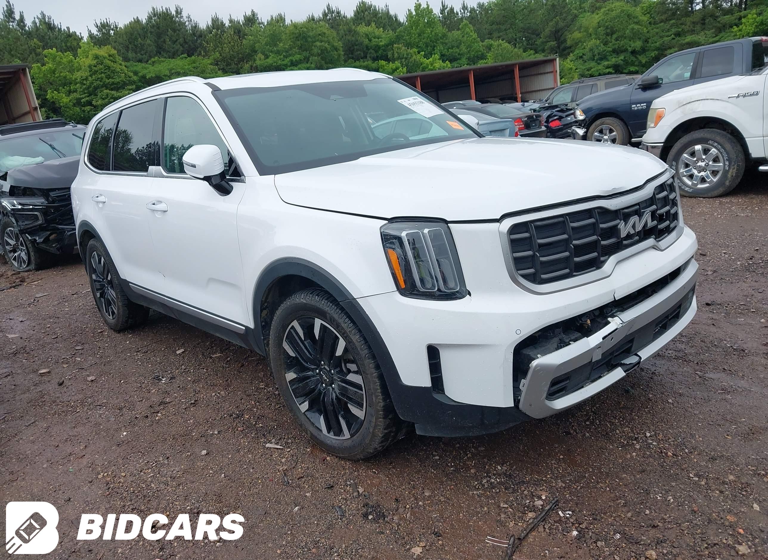 2024 KIA Telluride, SX