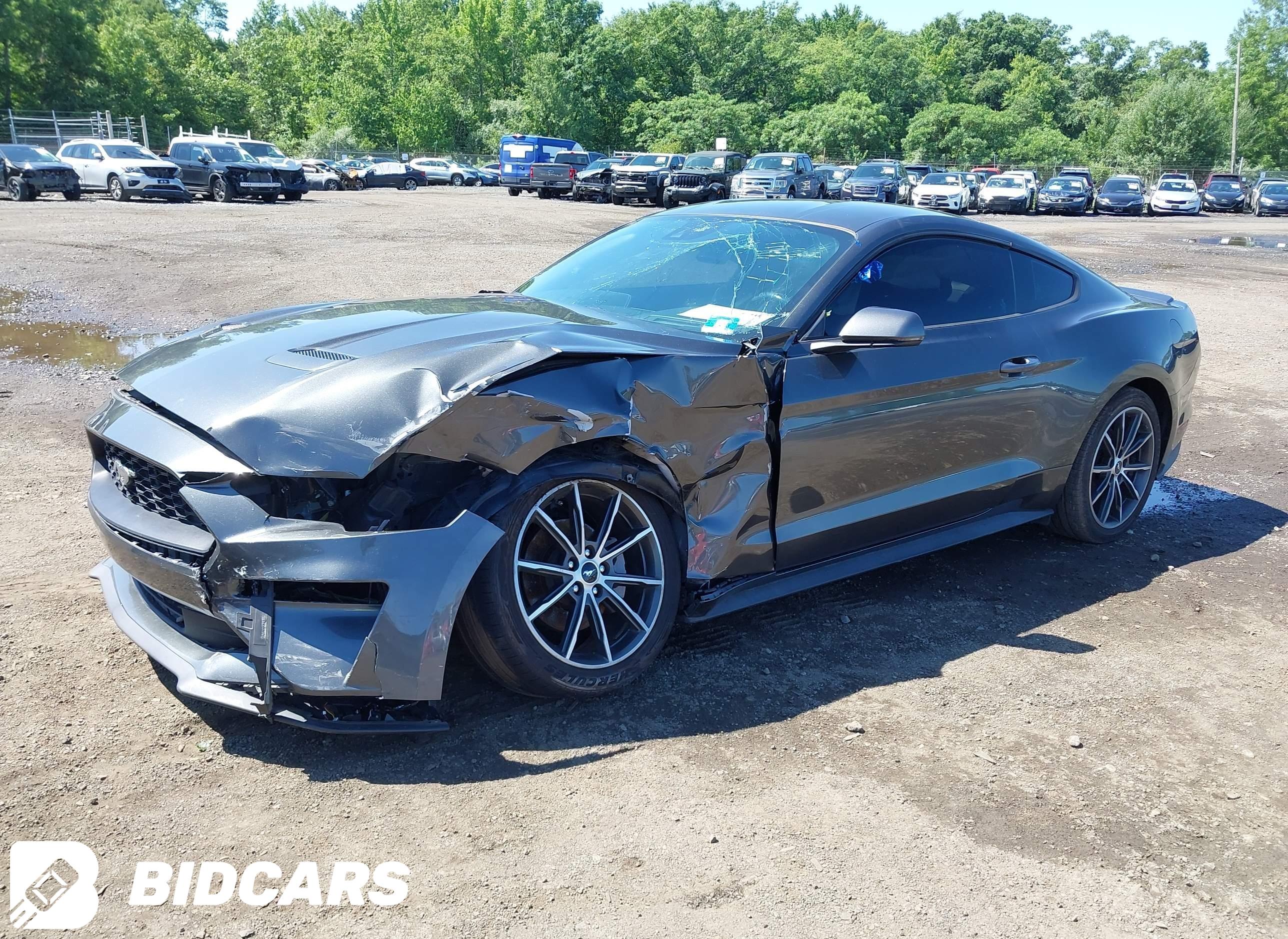 2019 Ford Mustang, Ecoboost/E...