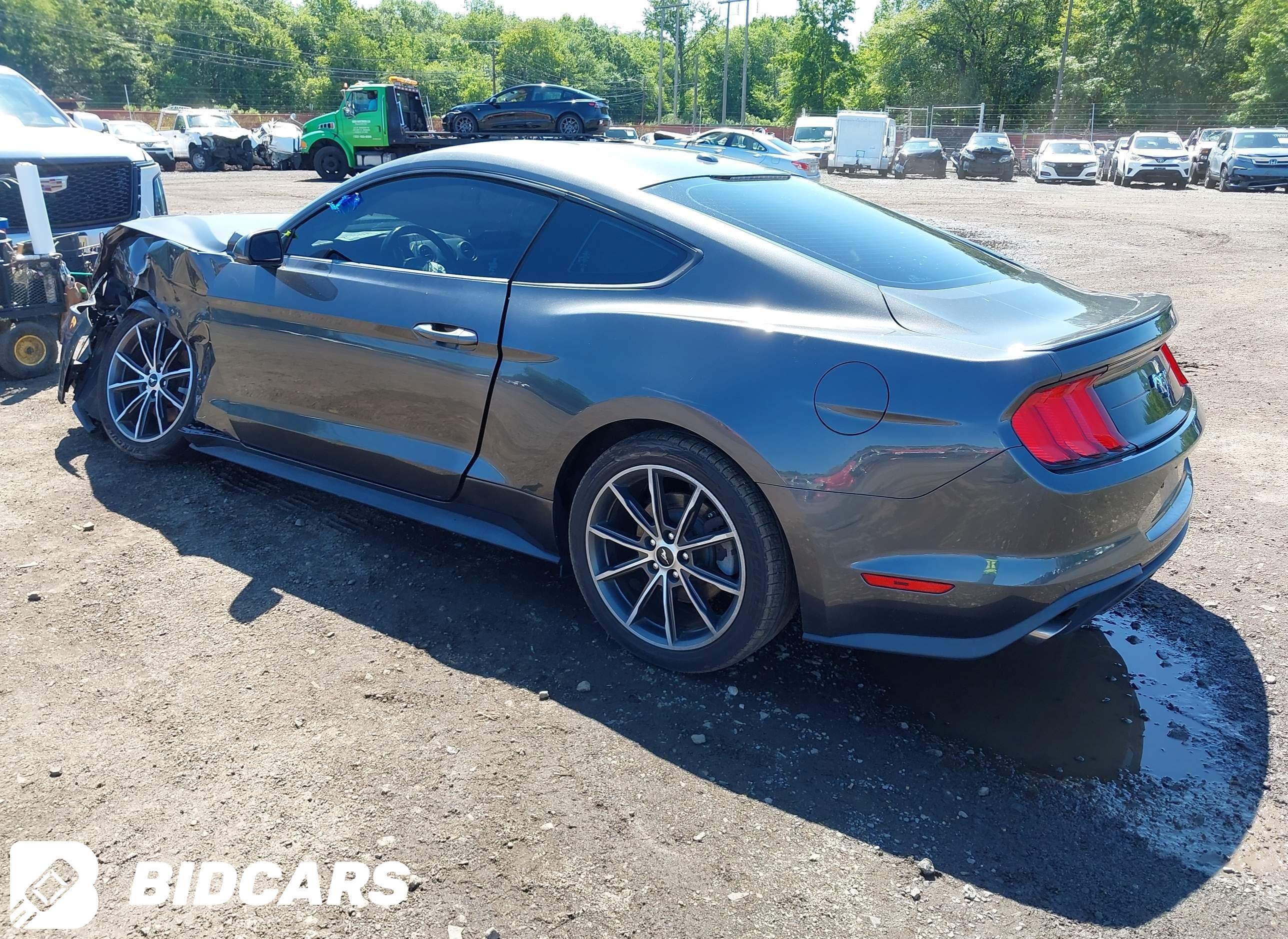 2019 Ford Mustang, Ecoboost/E...