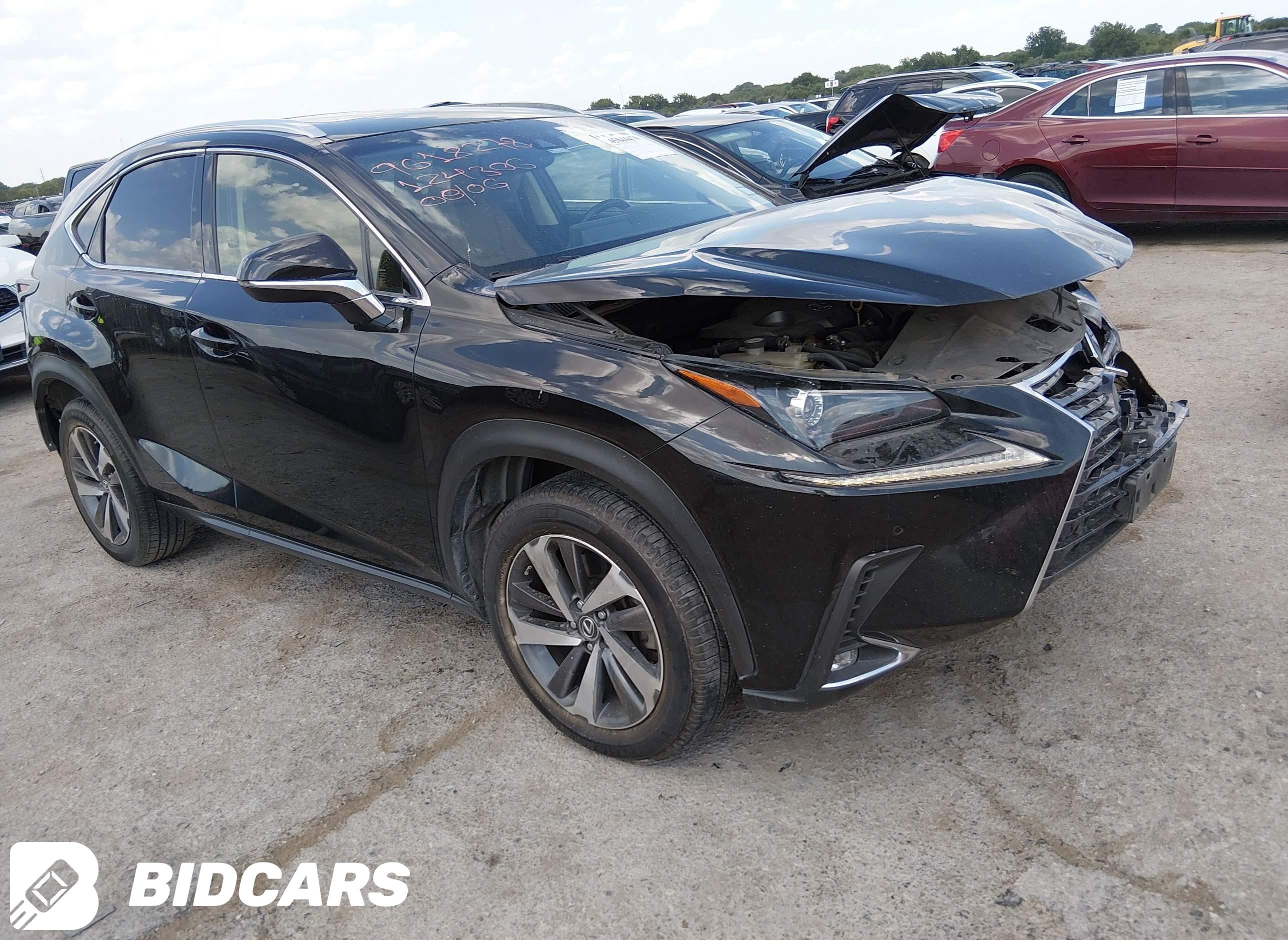 2019 Lexus NX 300