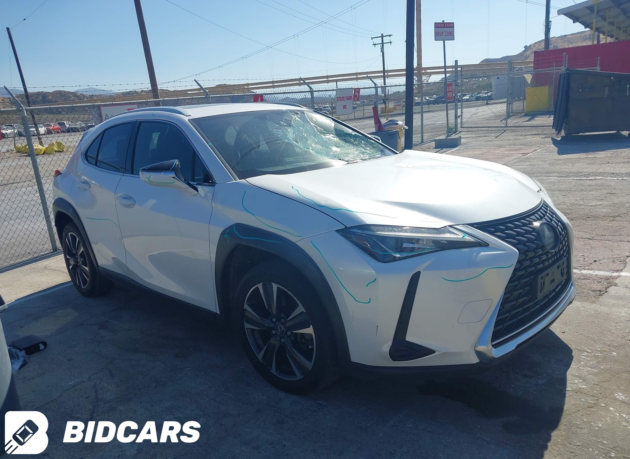 2019 Lexus UX 200