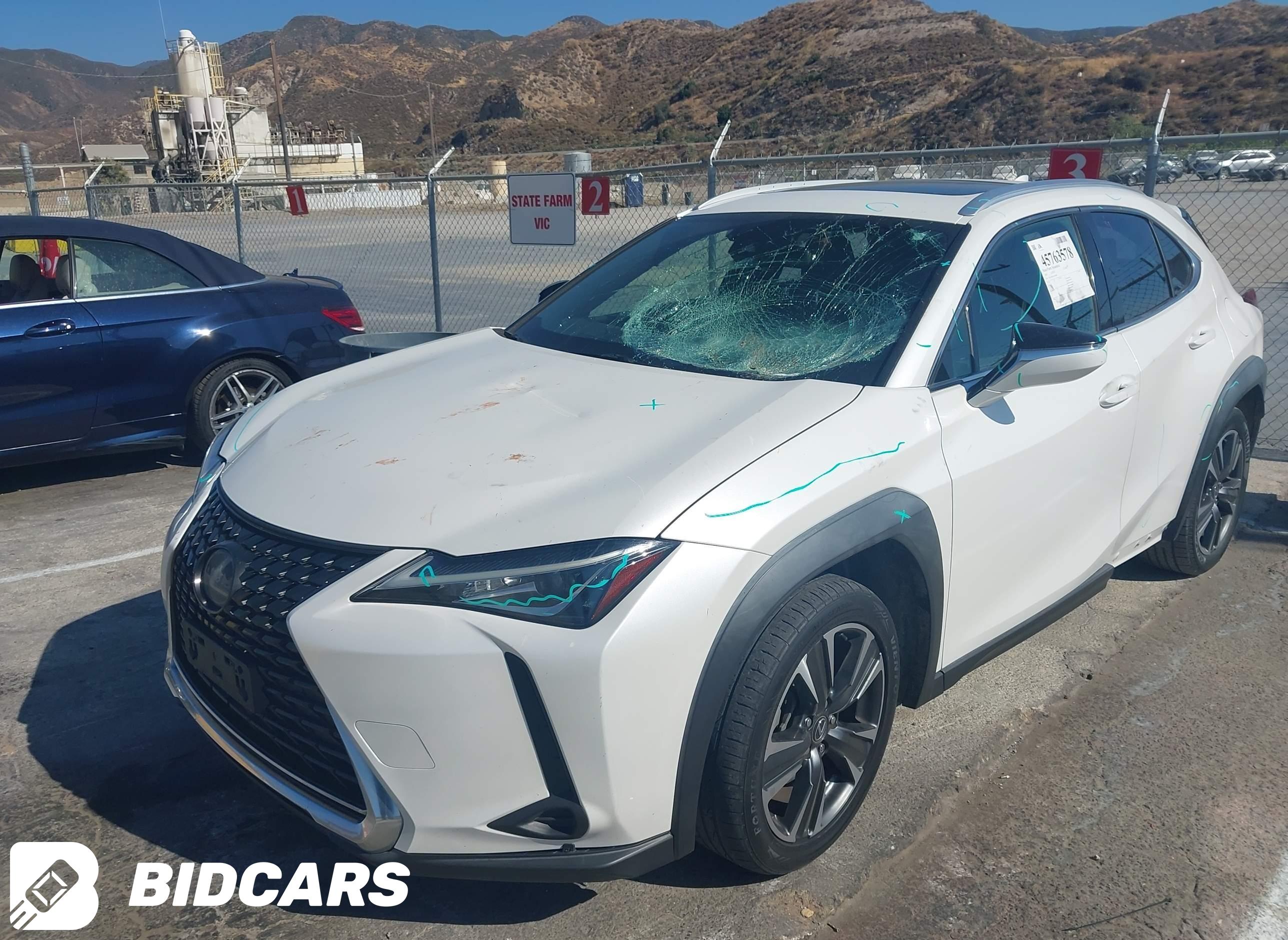 2019 Lexus UX 200