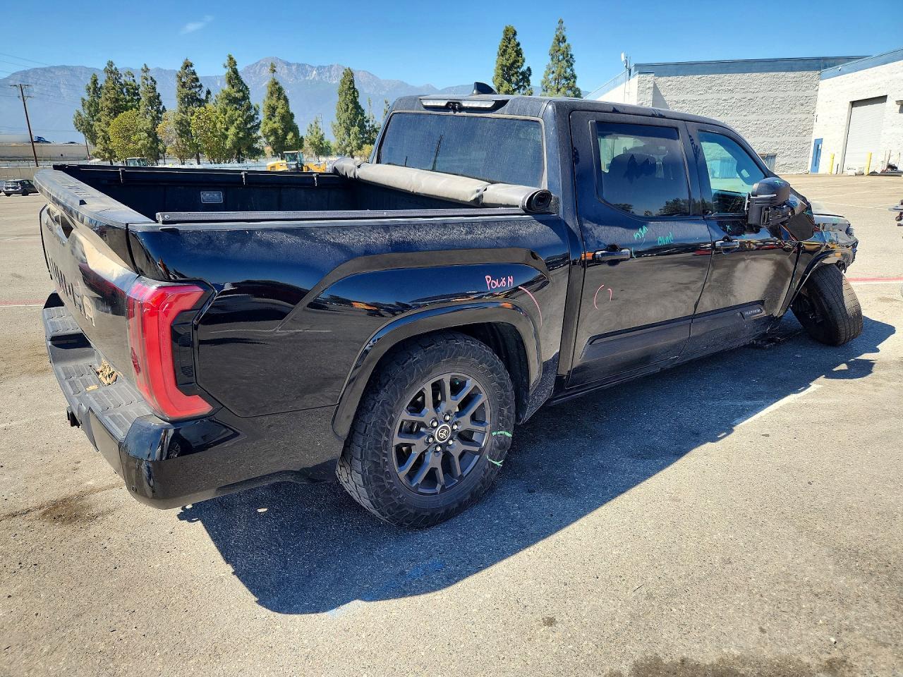 2022 Toyota Tundra, Platinum Hv
