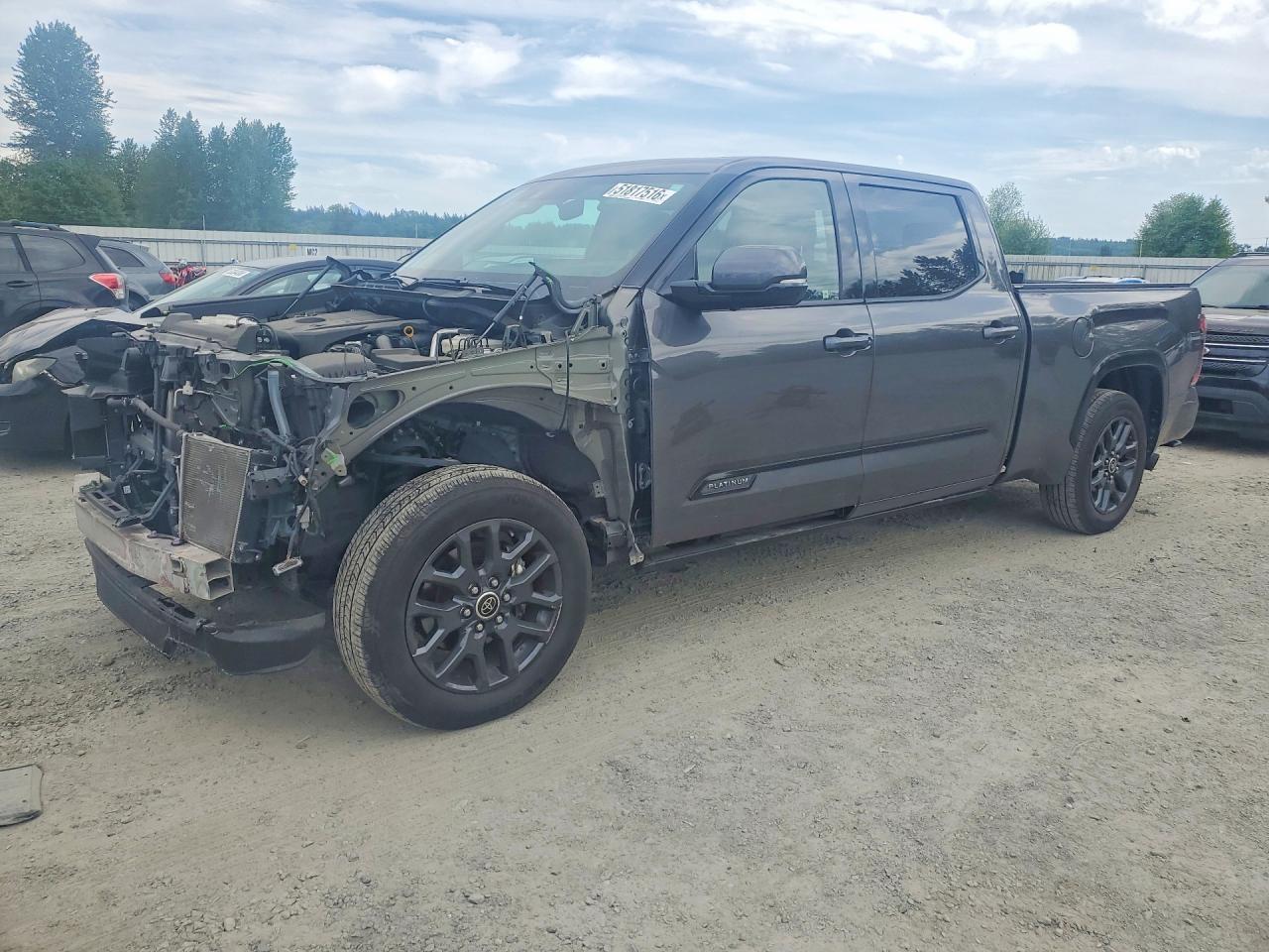 2023 Toyota Tundra, Platinum