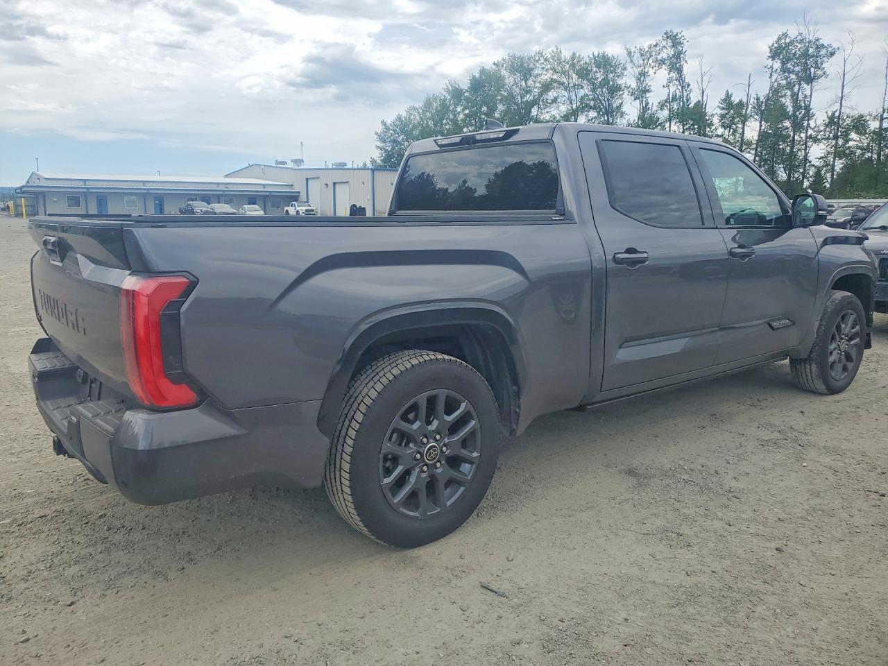 2023 Toyota Tundra, Platinum