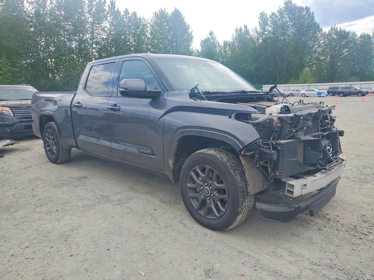 2023 Toyota Tundra, Platinum