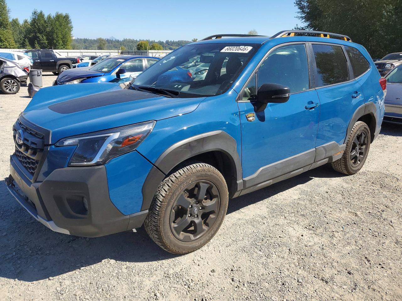 2024 Subaru Forester, Wilderness