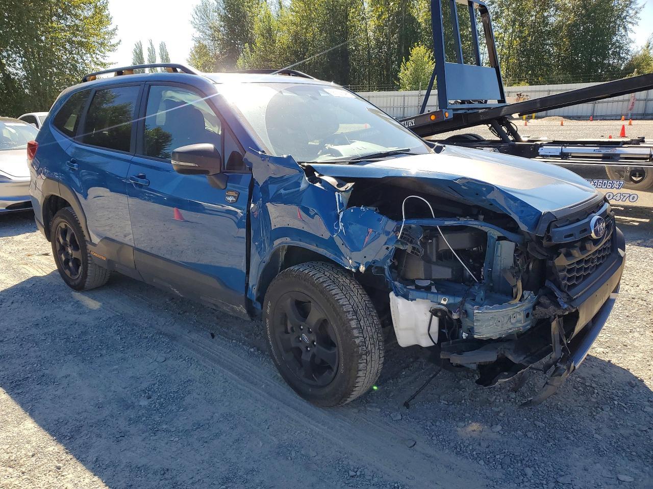2024 Subaru Forester, Wilderness