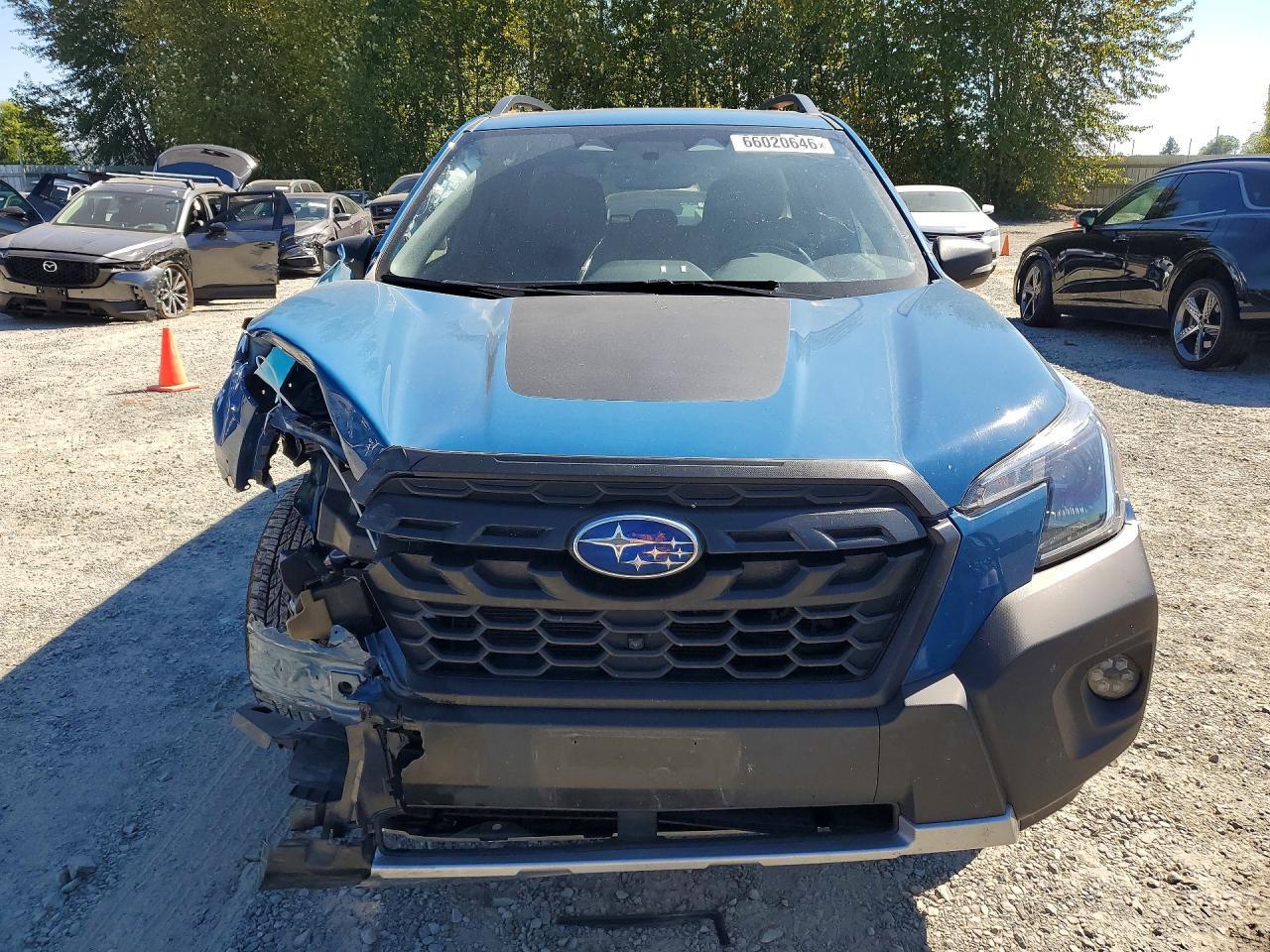 2024 Subaru Forester, Wilderness