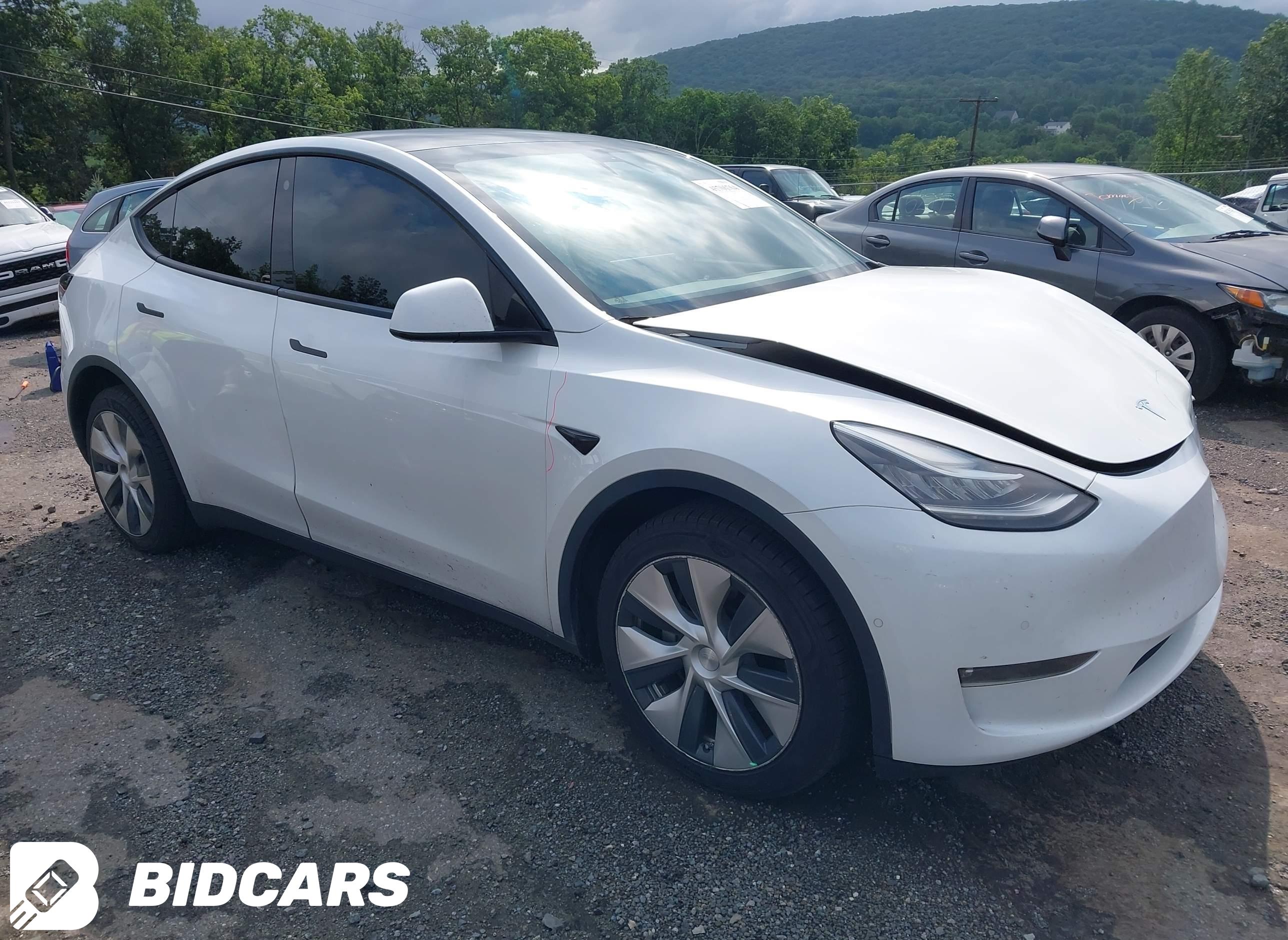 2021 Tesla Model Y, Long Rang...