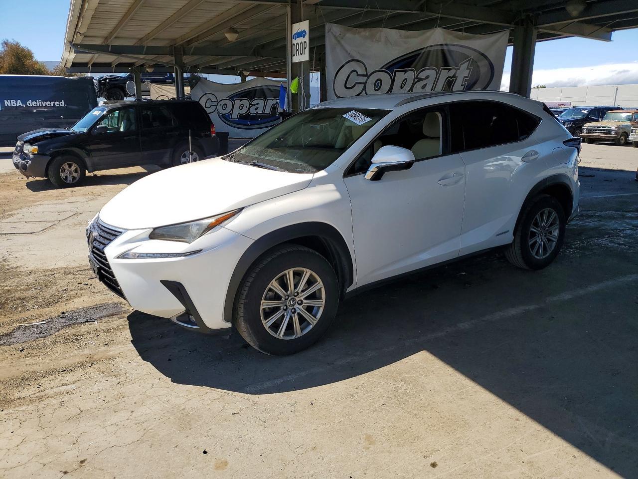 2019 Lexus NX, 300H