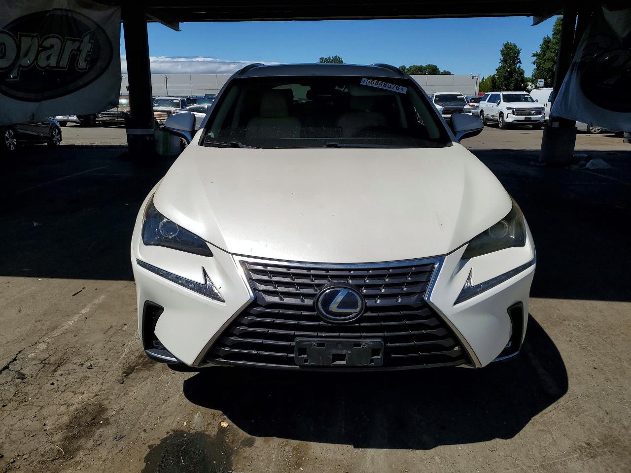 2019 Lexus NX, 300H