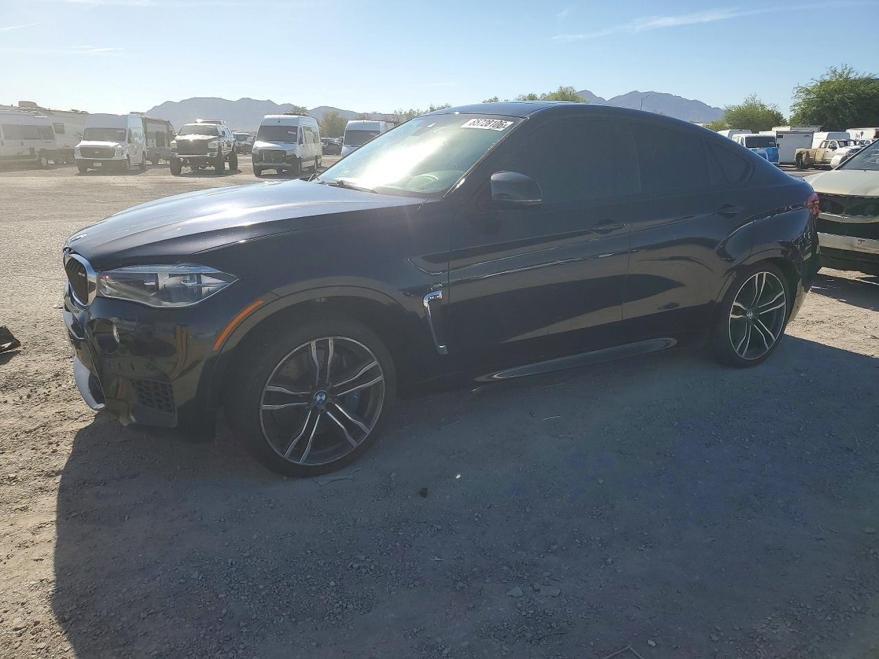 2017 BMW X6, M