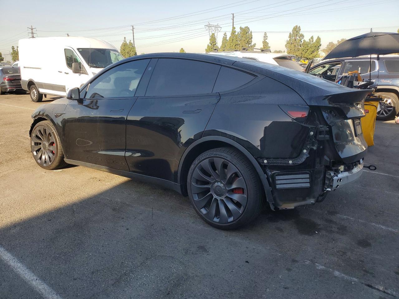 2024 Tesla MODEL Y