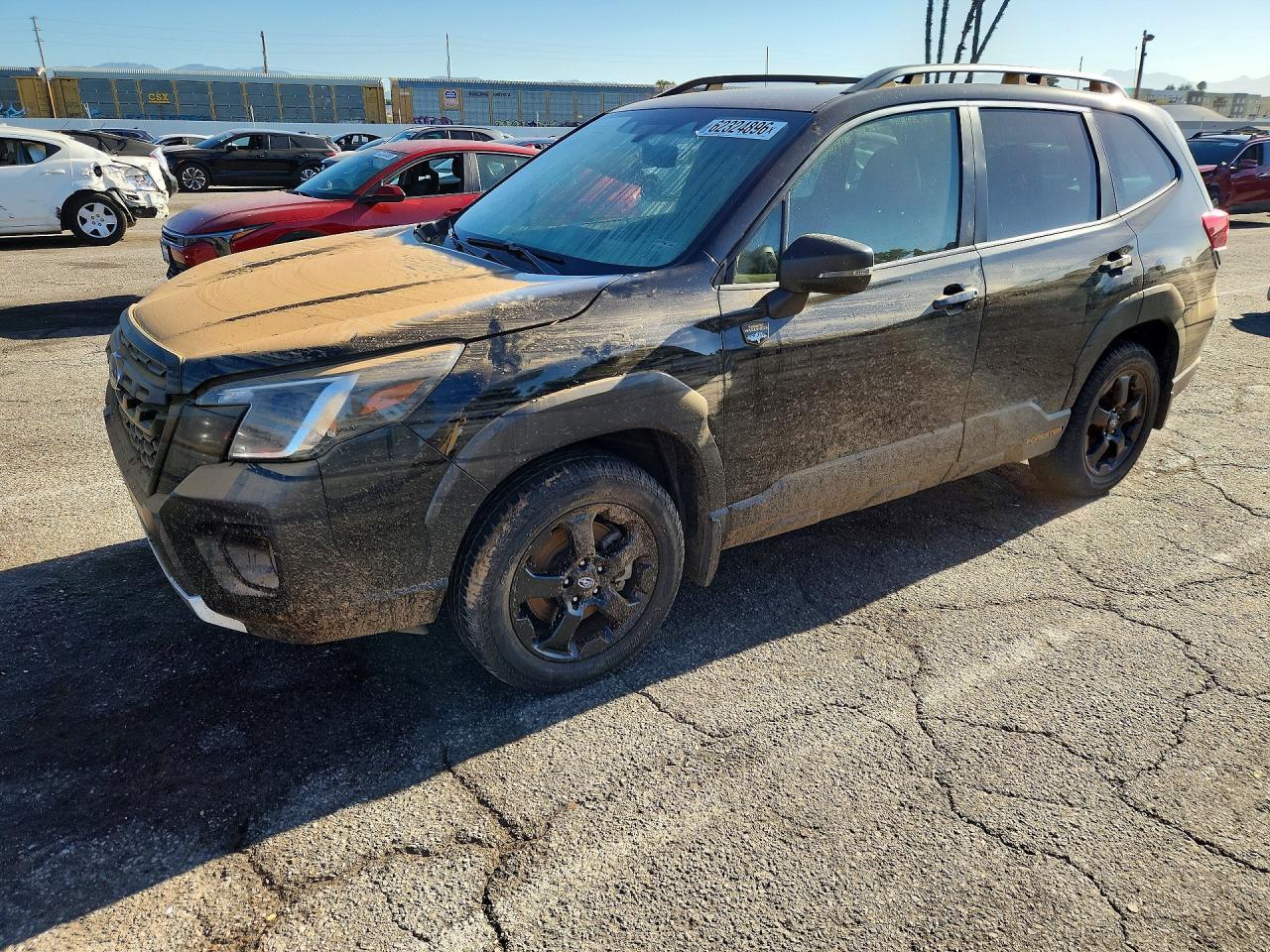 2023 Subaru Forester, Wilderness