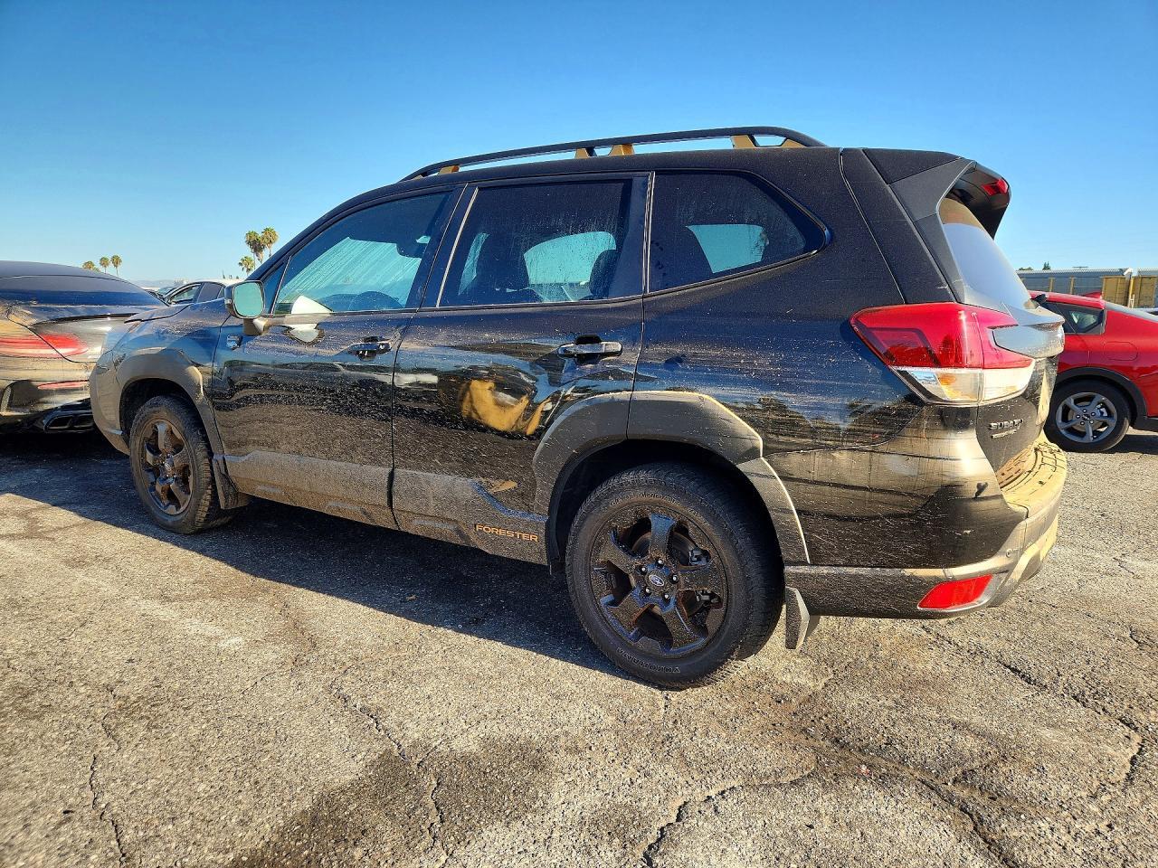 2023 Subaru Forester, Wilderness