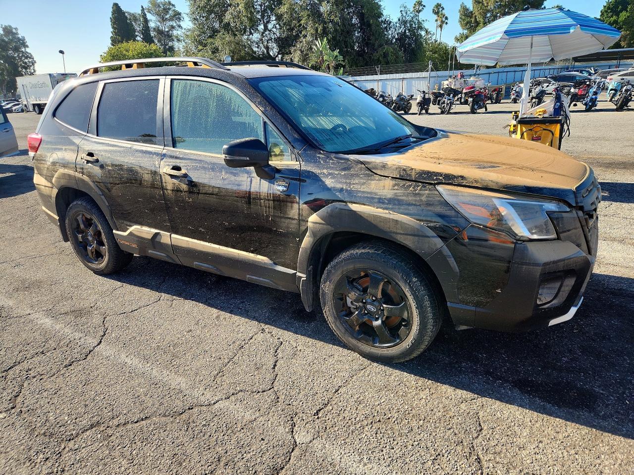 2023 Subaru Forester, Wilderness
