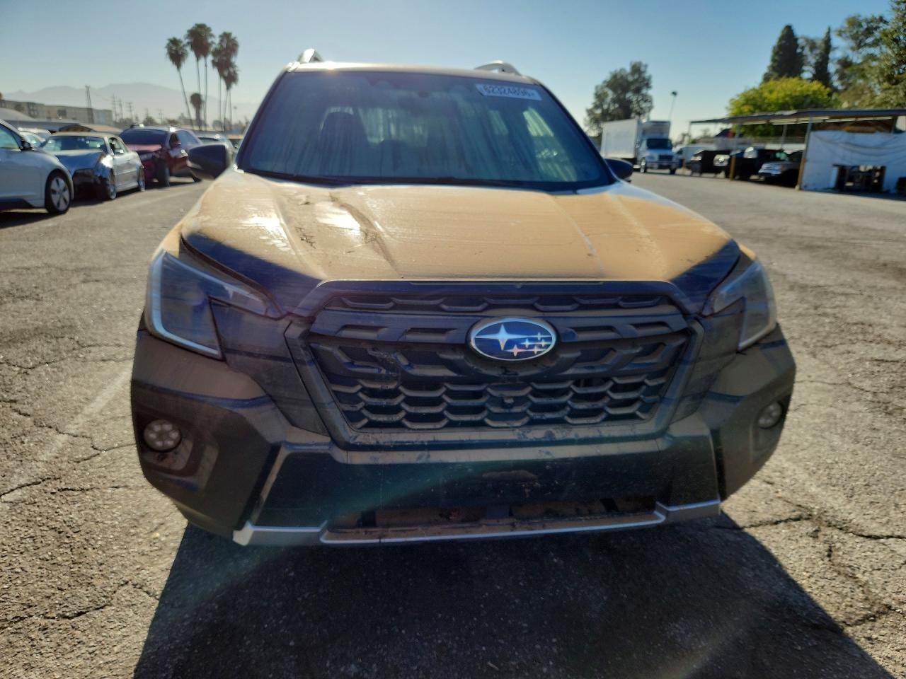 2023 Subaru Forester, Wilderness