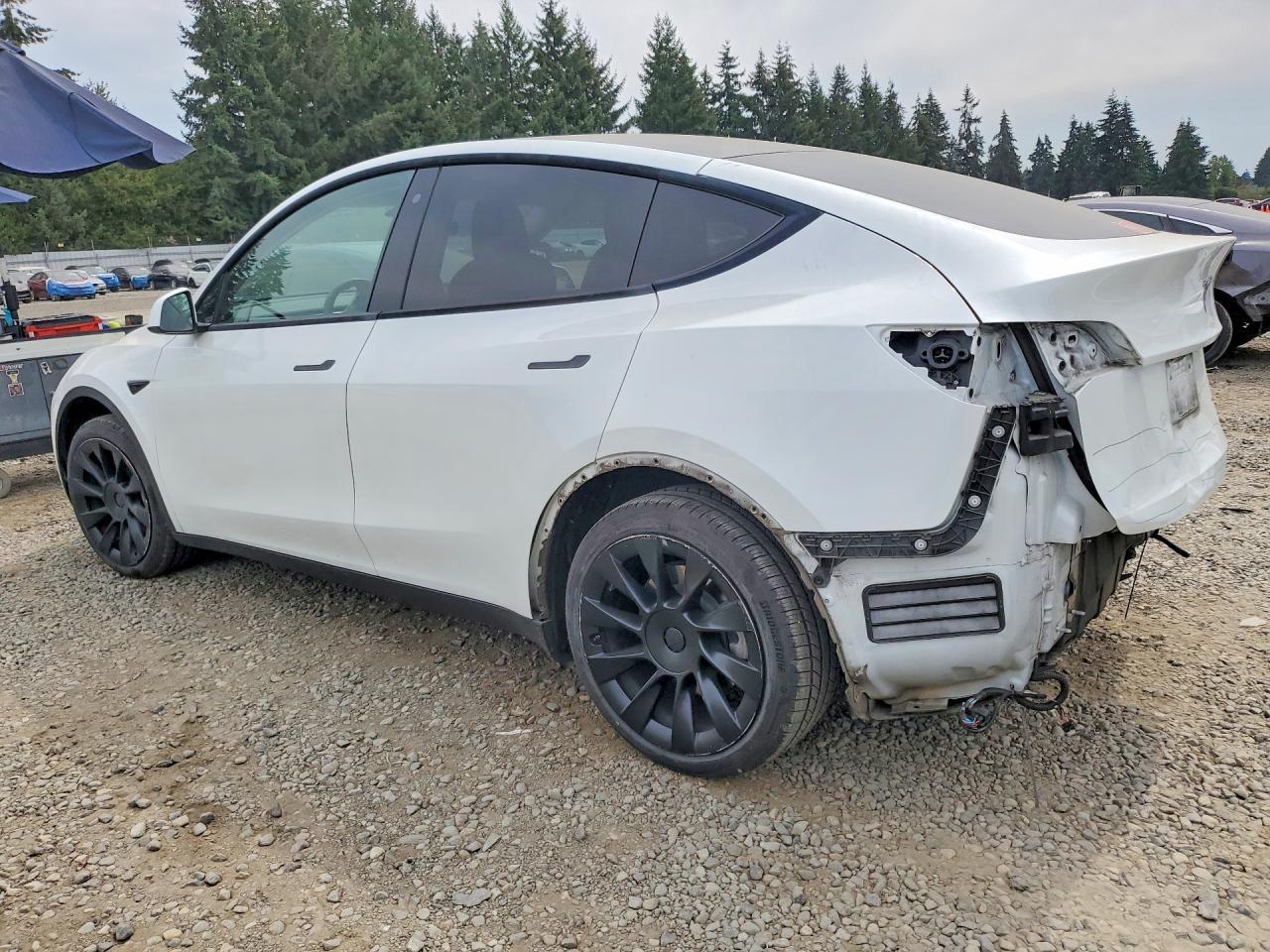 2020 Tesla MODEL Y