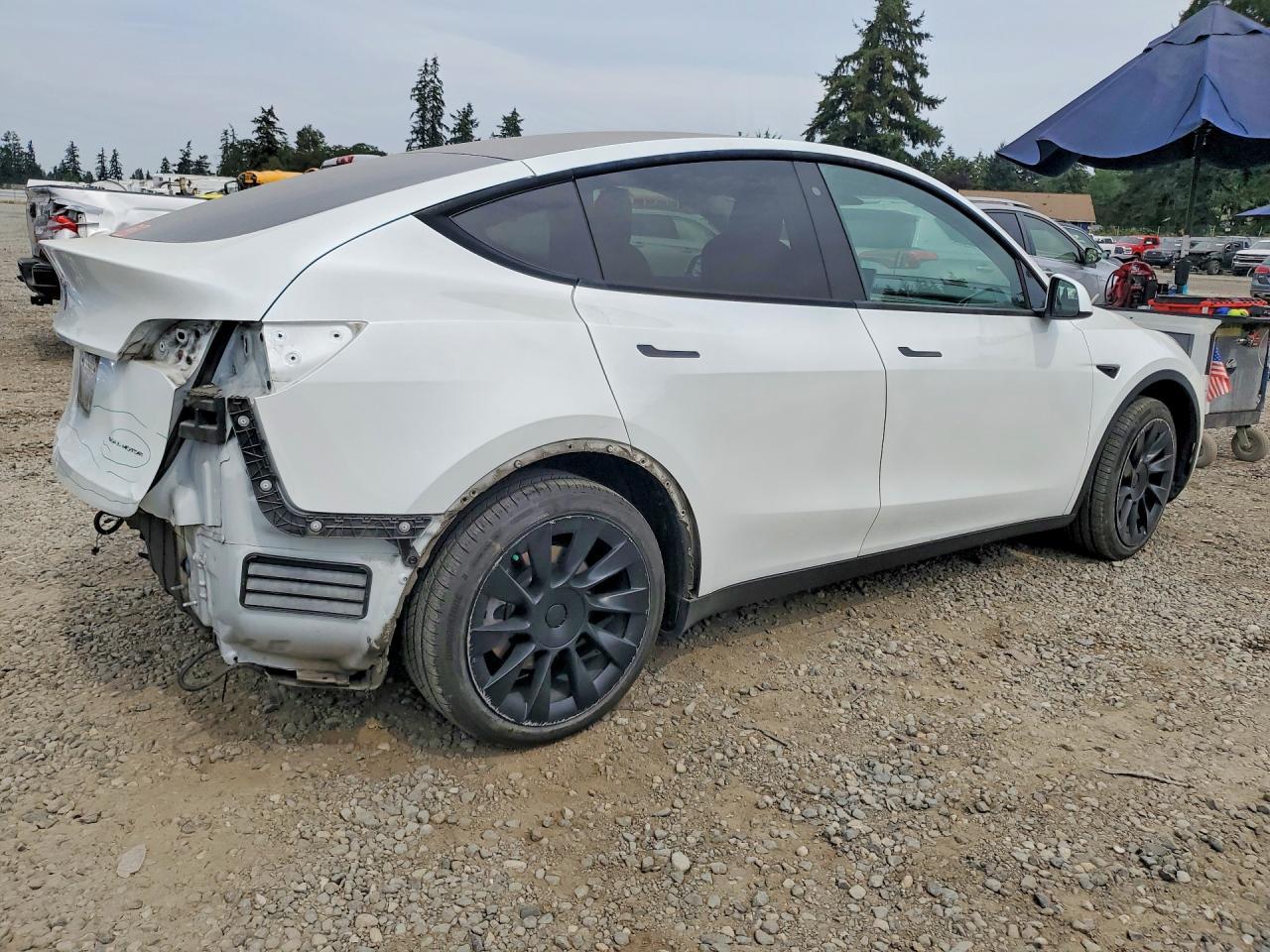 2020 Tesla MODEL Y