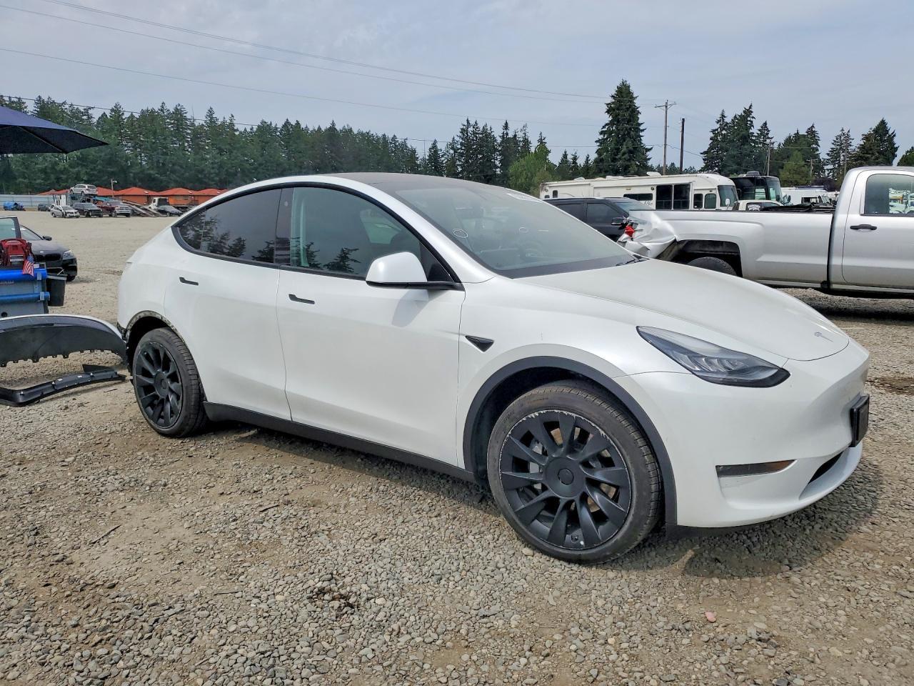 2020 Tesla MODEL Y