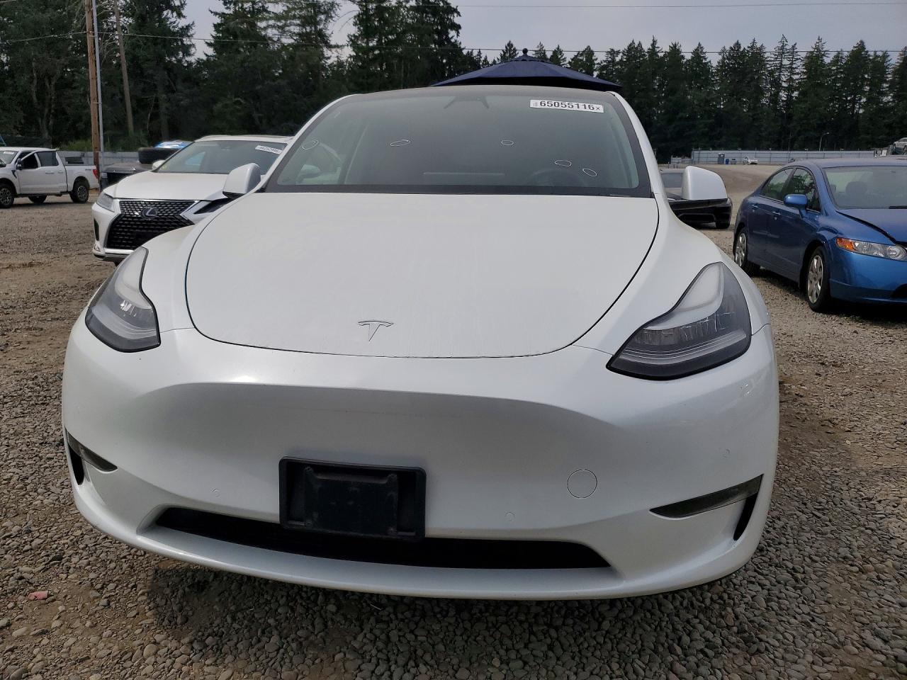 2020 Tesla MODEL Y